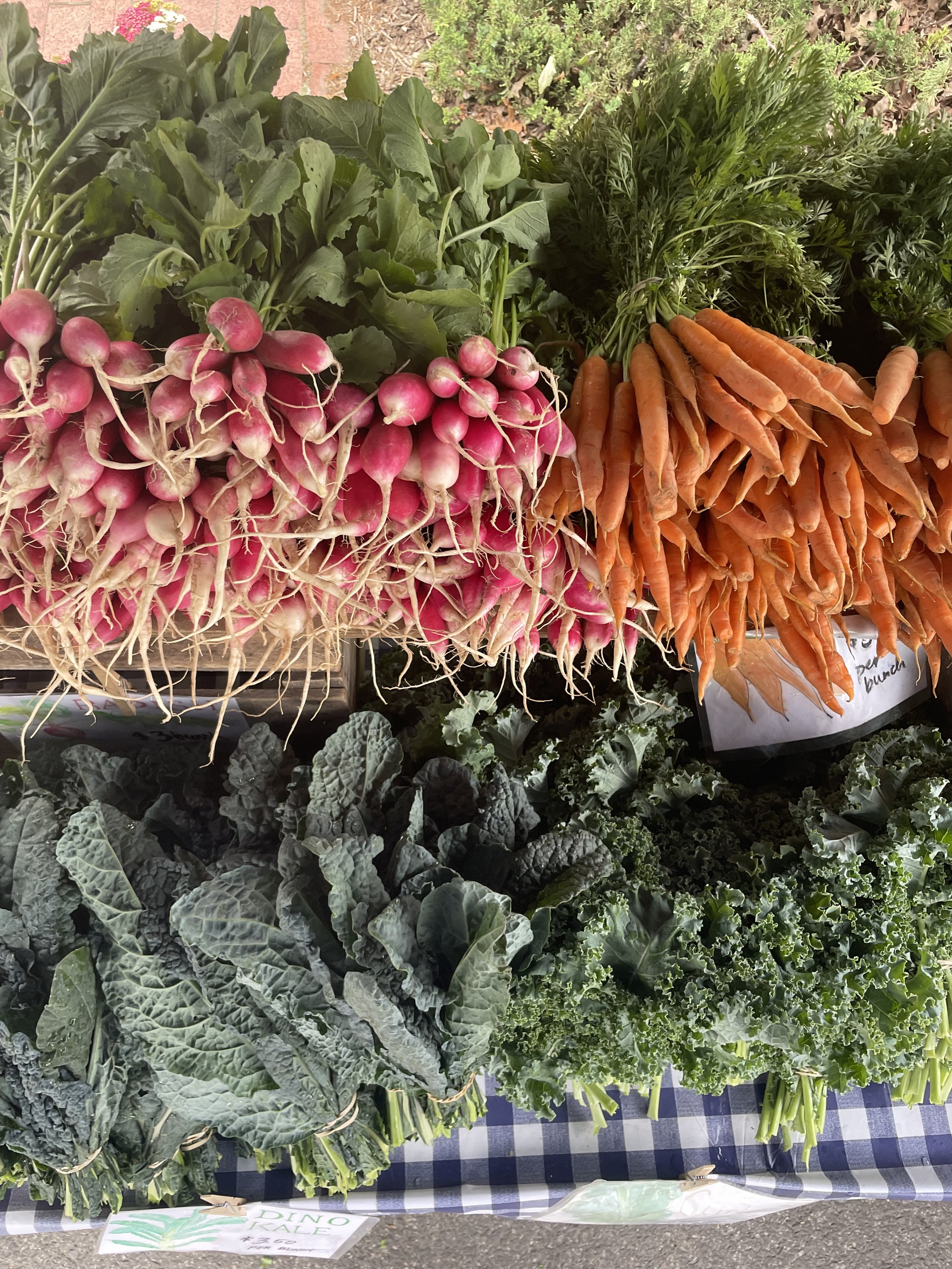 Bloomingdale Farmers Market bloomingdale-farmers-market