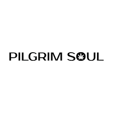 Pilgrim-Soul.png