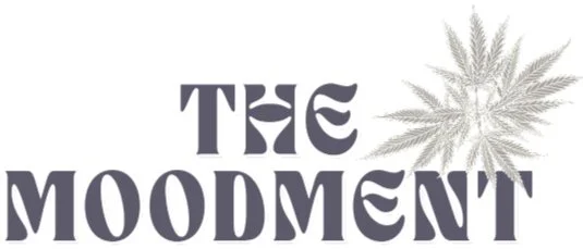 moodment blog logo