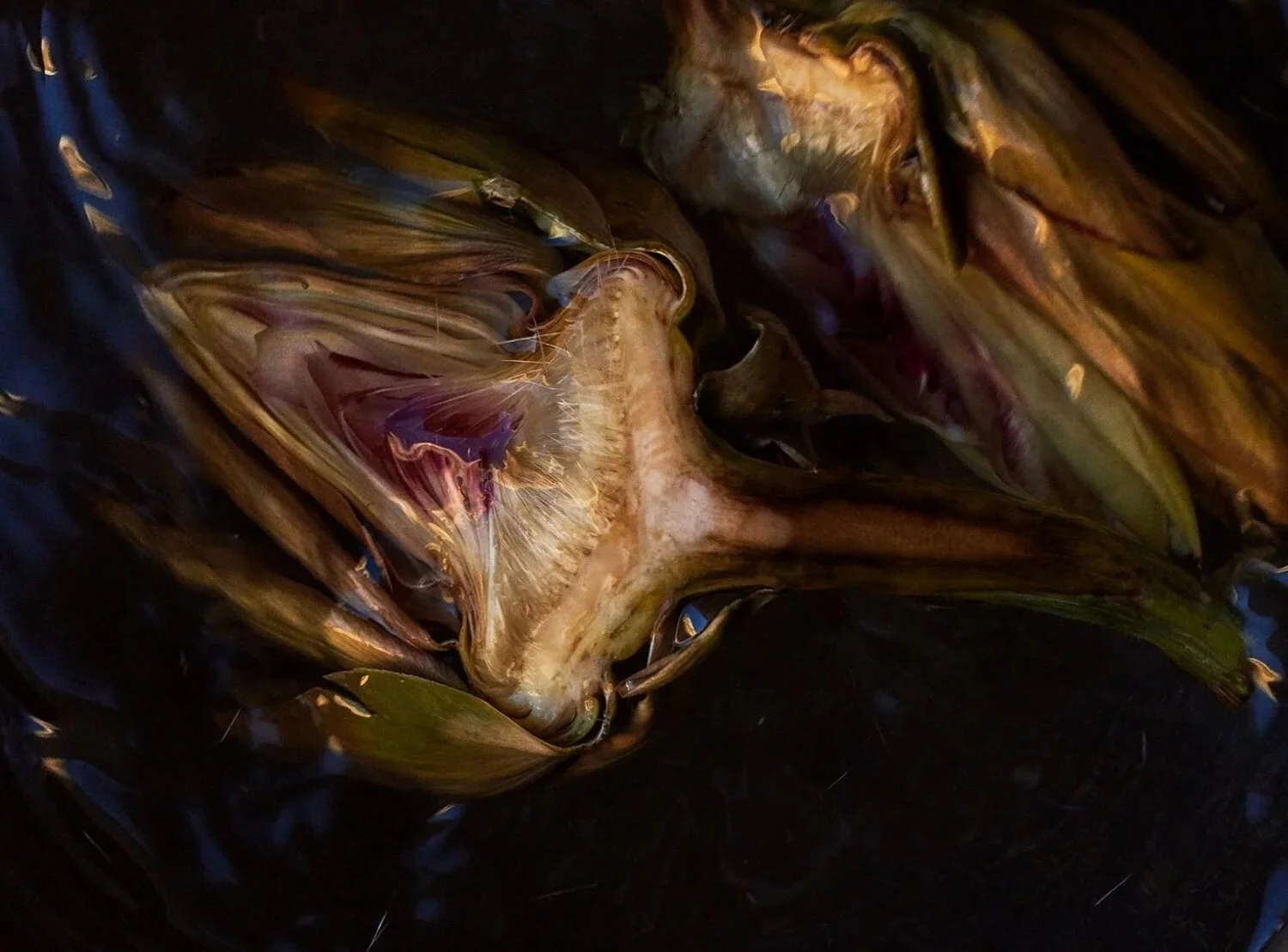 artichoke.jpg