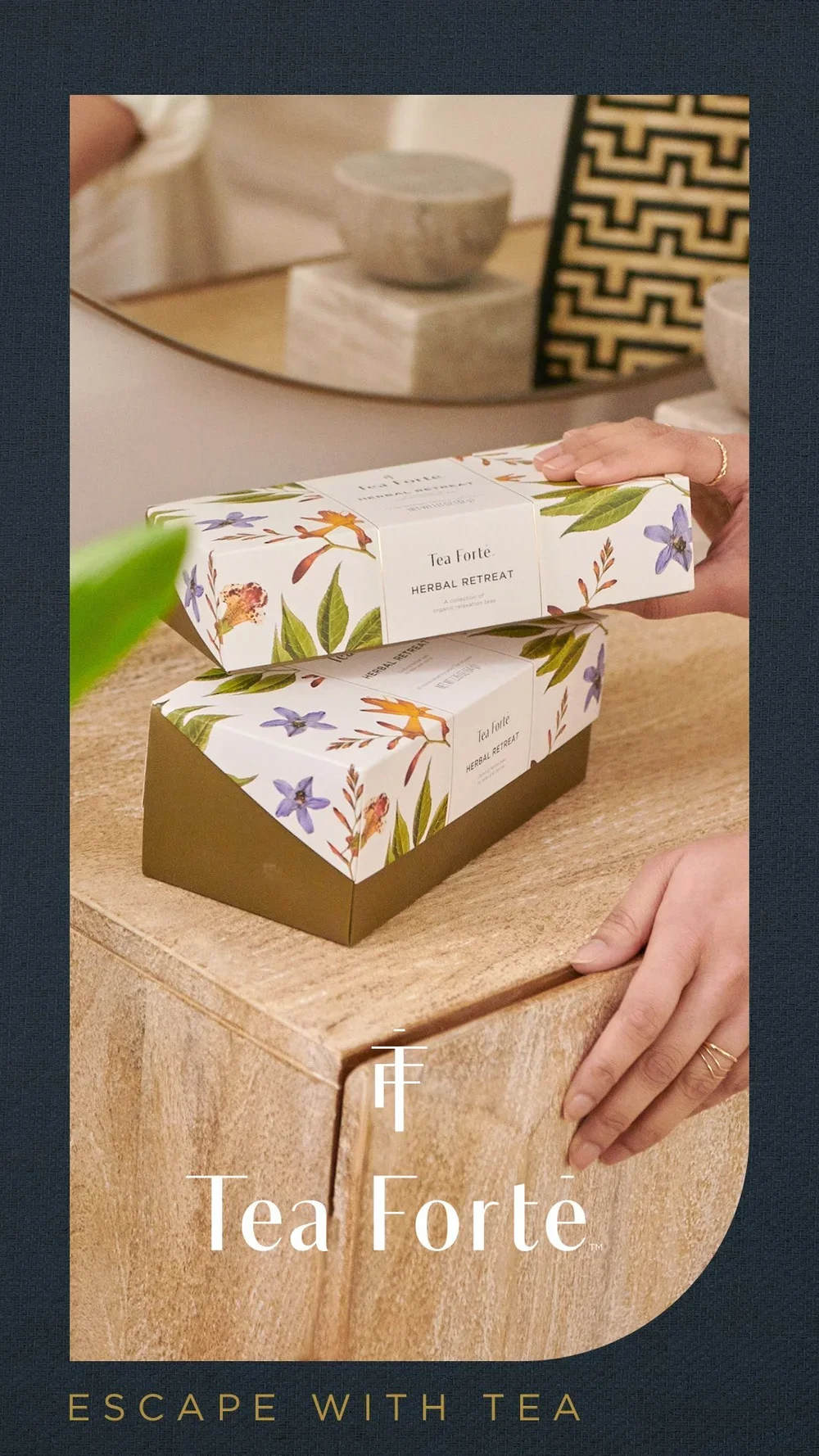 TF_Brand_Social_story_1080x1920_01.webp