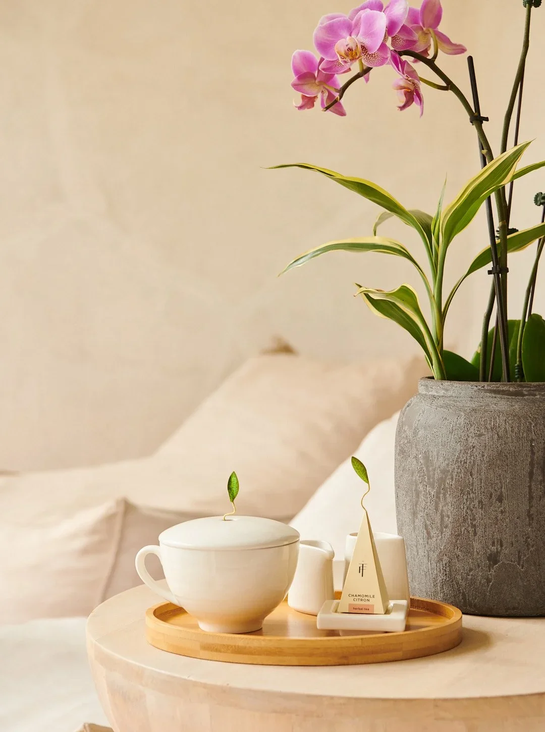 tea_forte_Day230861.webp