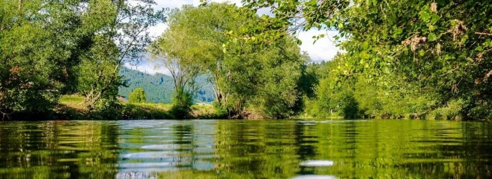 The 2nd International Mahseer Conference 2020