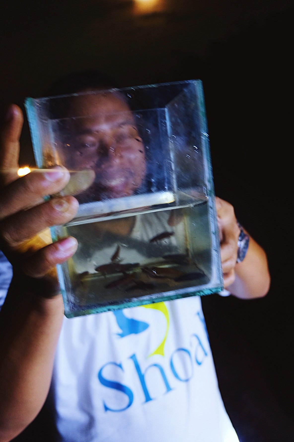 Last refuge: Saving Bangka’s Hidden Gem