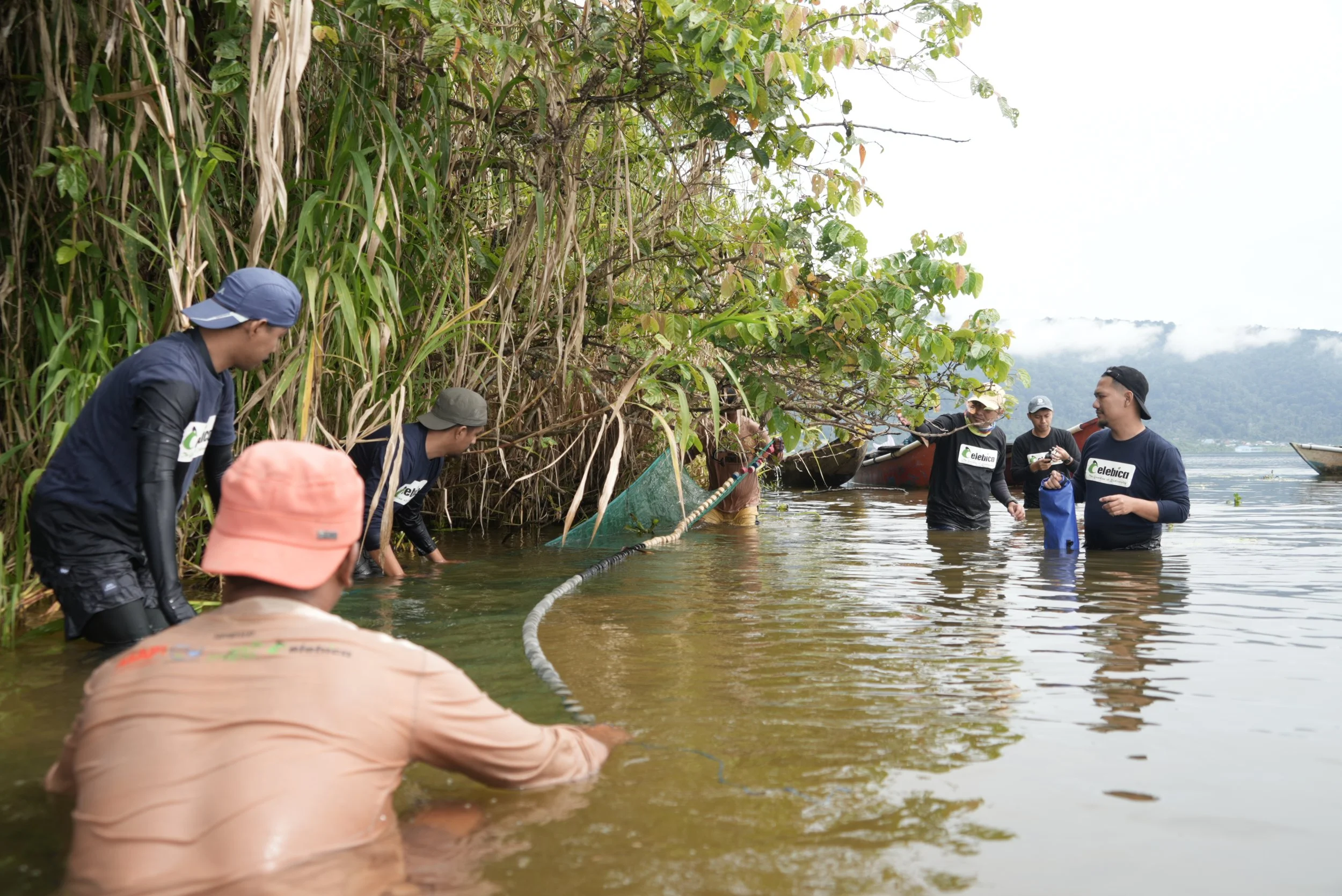 Finding Lake Tondano Halfbeak and Strengthening Collaboration to Protect Freshwater Species