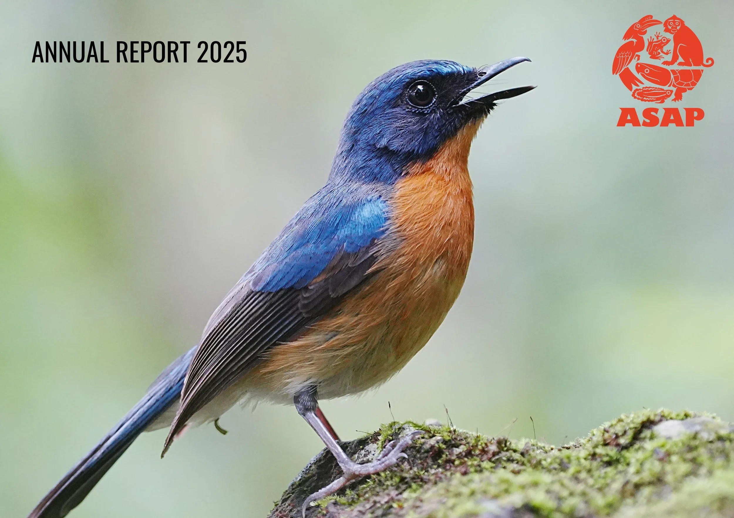 Annual Report cover.jpg