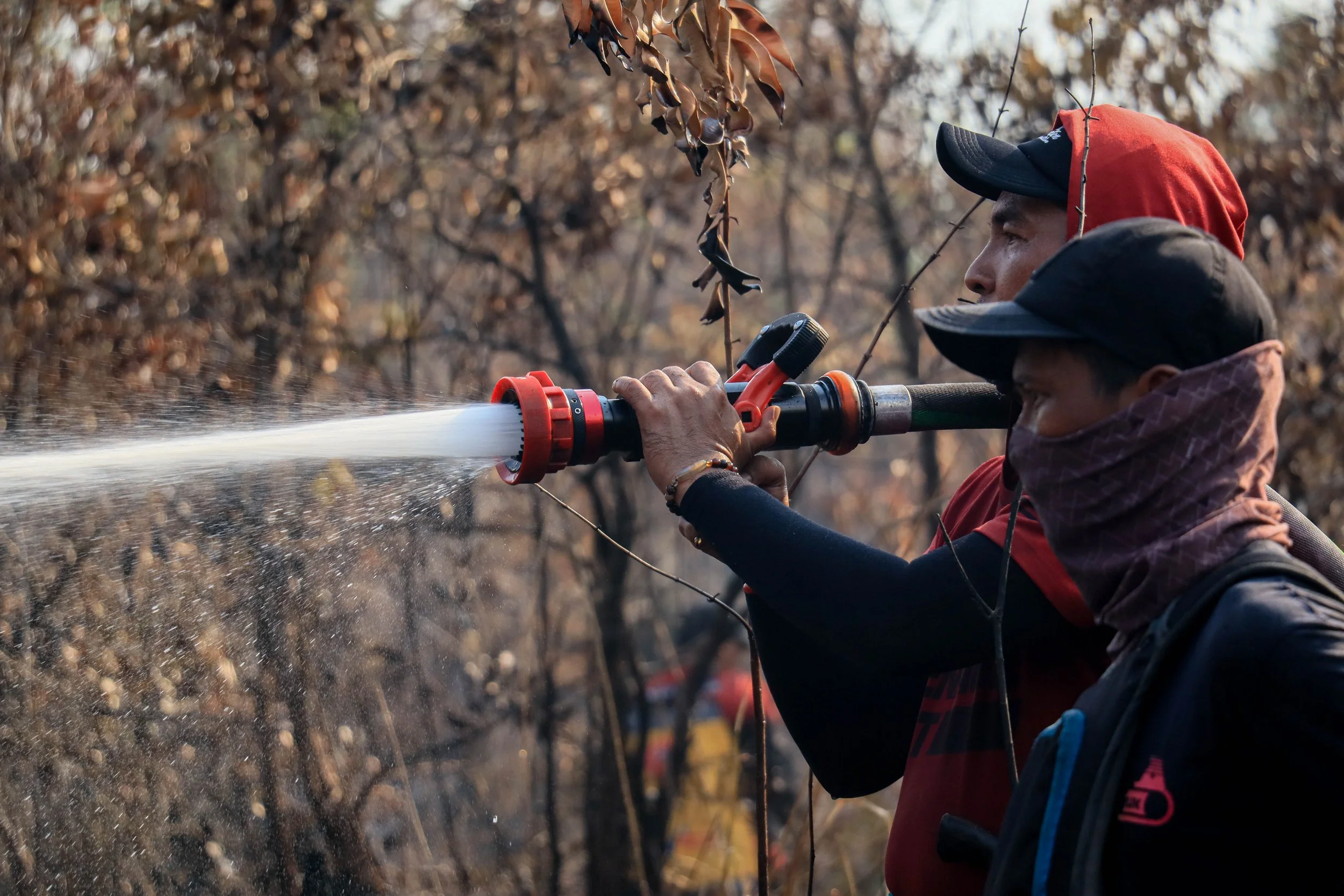 Protecting Bornean Orangutan Habitat from Forest Fires in Central Kalimantan