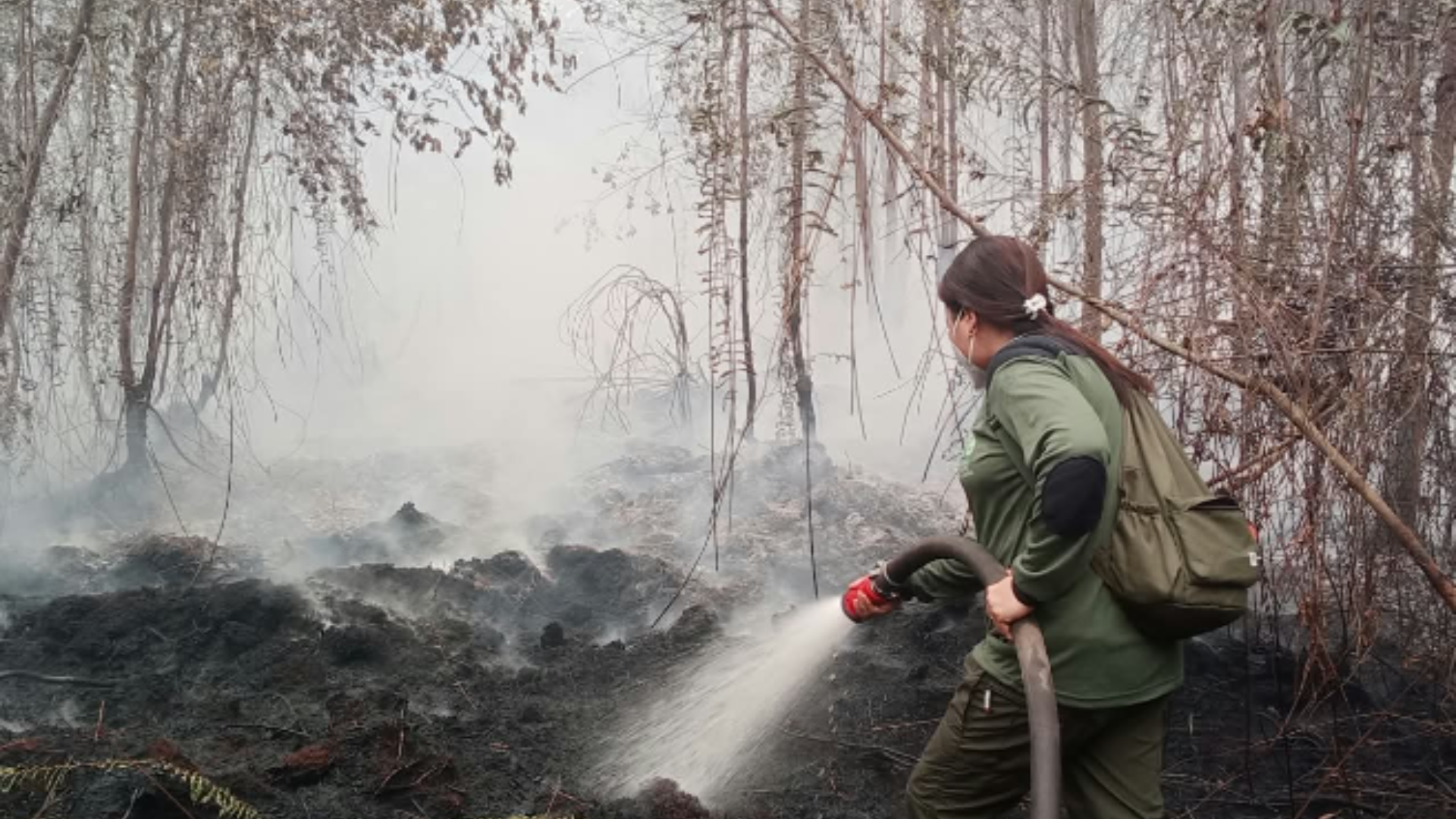 Rapid Action Fund Supports Frontline Efforts to Protect Kalimantan's Orangutans&nbsp;