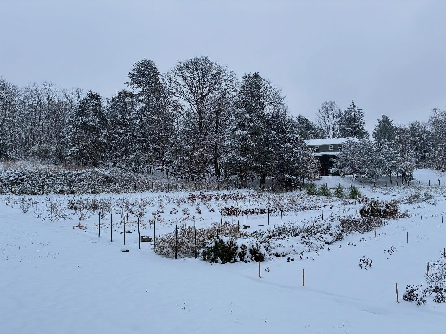 ❄️Dreamy snow day on the farm. Hoping your day was full of joy and coziness too ❄️