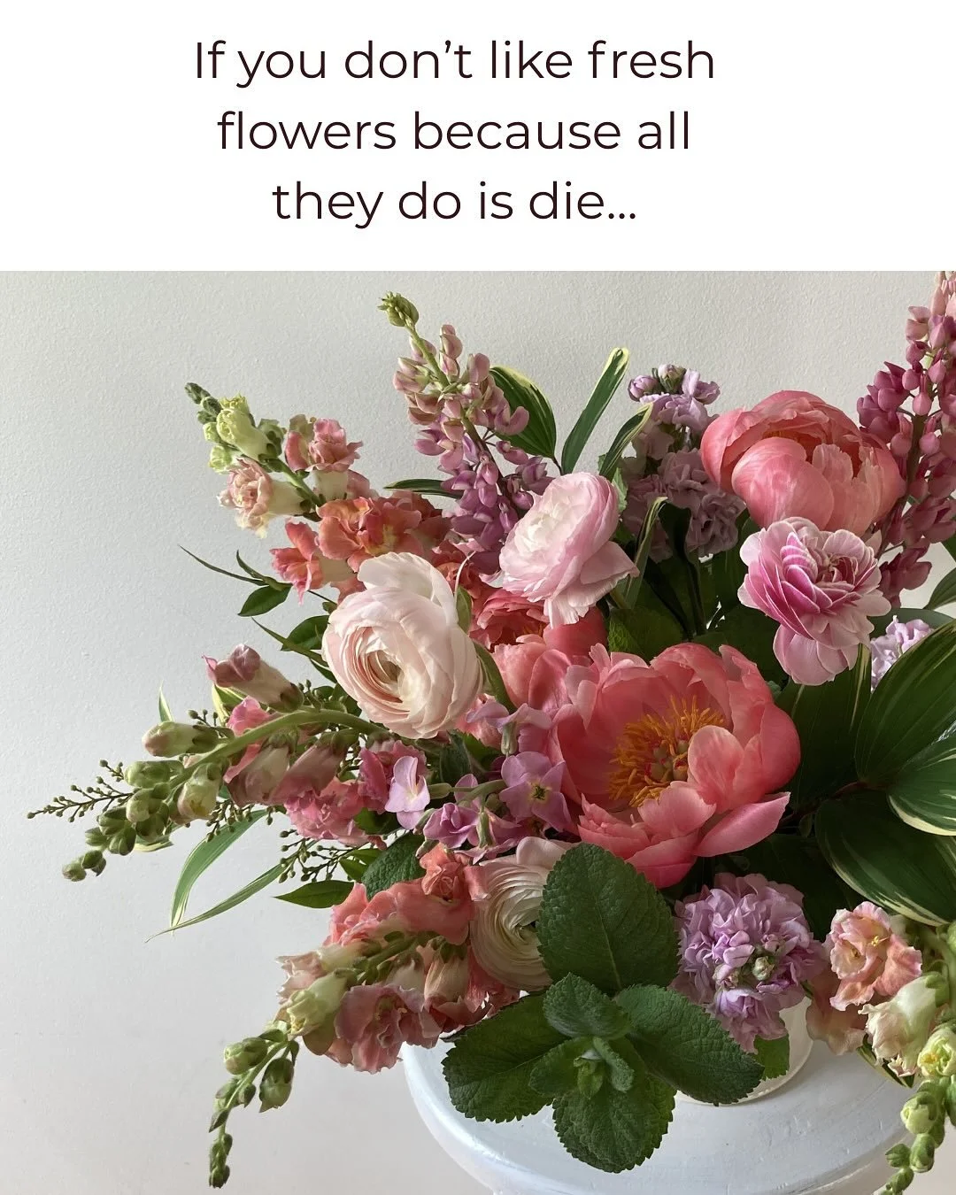 Craving some color to get you through mud season? All dried flowers are 20% off in our online shop with code DRIED. Link is in the bio 😘

#localflowers #farmerflorist #driedflowers #everlastingflowers #charlottesville #farmersagainstfacism