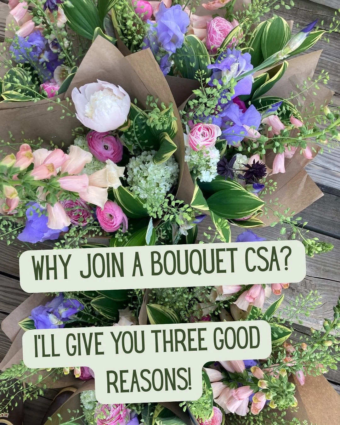 So pumped to get off this weather roller coaster and into spring! Join us for 6 weeks of gorgeous spring flowers starting soon. Sign up in our online shop to get yours! 💐💐💐

#localflowers #farmerflorist #bouquetCSA #springflowers #charlottesville 