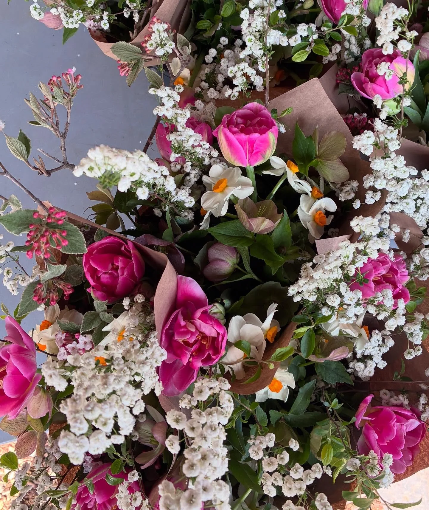 It&rsquo;s go time! First week of the Early Spring Bouquet CSA featuring our spirea, viburnum, daffodils, and hellebore, with gorgeous tulips from our friends @springcreekblooms. These beauties are headed to our Tuesday pickup at LAMPO 3:30-6:30! No 