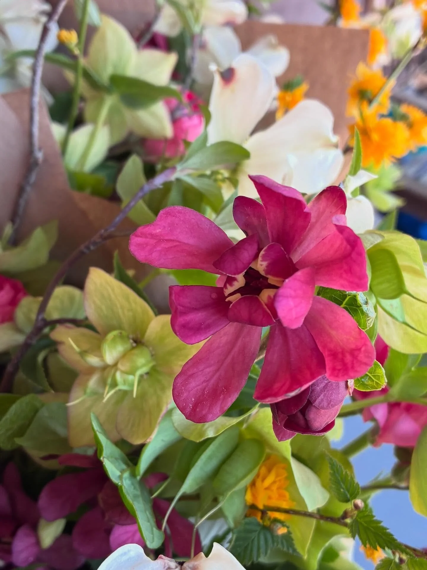It&rsquo;s week #2 of the Bouquet CSA! Tuesday folks come on out and get your flowers! No market till next week but get excited!! So much color in the shares this week 🍎🍊🍋

#localflowers #farmerflorist #bouquetCSA #springflowers #charlottesville #