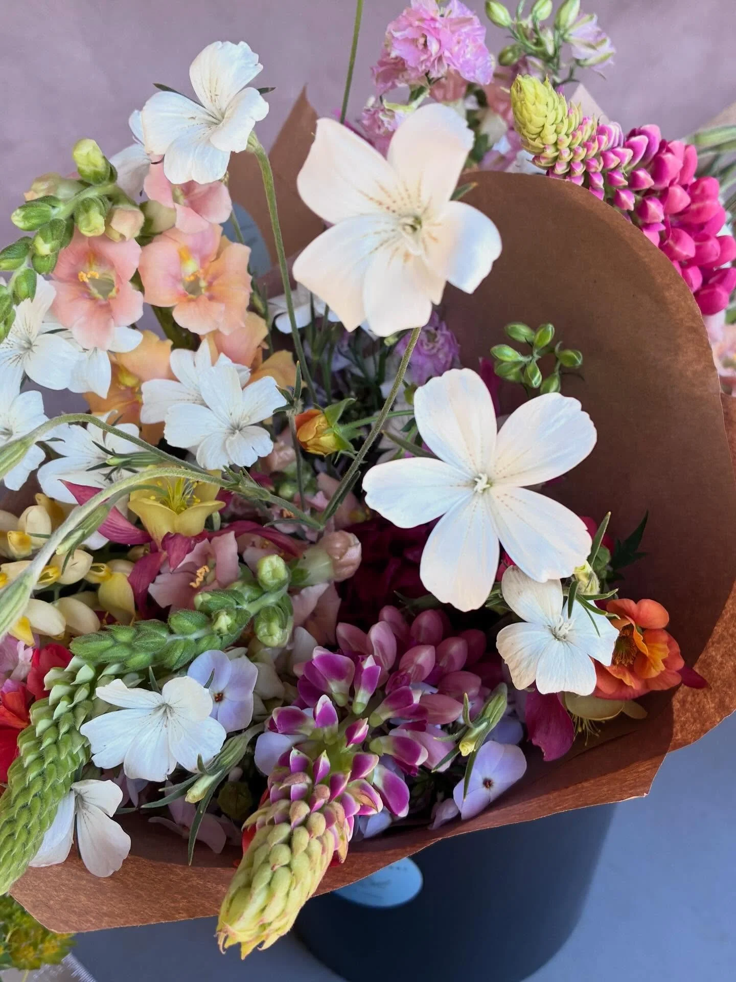 Market day @littlemarketatlampocville come out and stock your fridge, cool off with some gelato, and grab some of these beauties! Plus, only two more weeks to get your dahlia tubers!