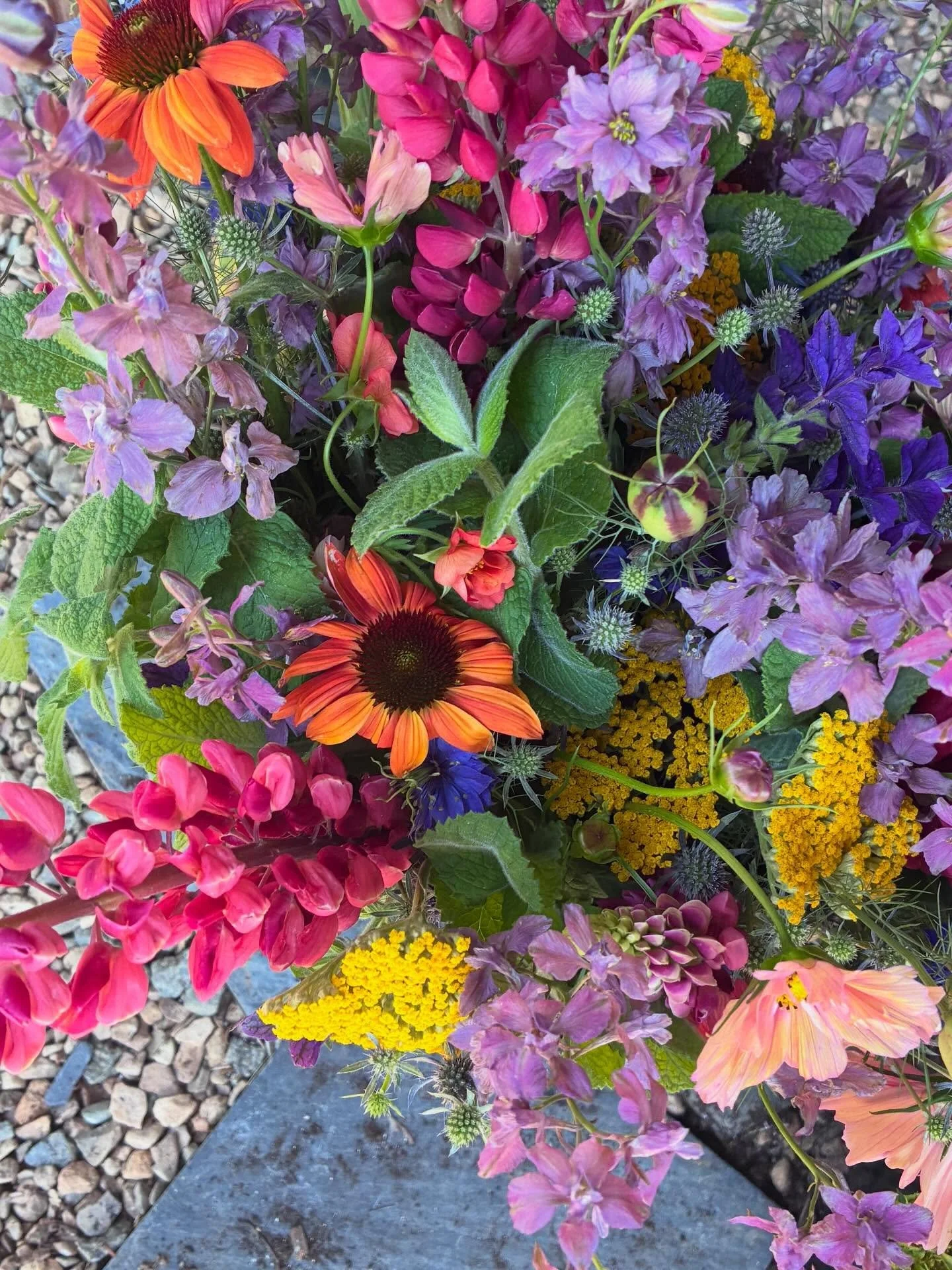 🌈HAPPY PRIDE Y&rsquo;ALL🌈 Rainbow bouquets,  garden jars, and beautiful watercolor cards from our &ldquo;artist in residence&rdquo; @magicisrealism headed to @littlemarketatlampocville today! Plus, last chance for dahlia tubers in 2026!! See you th