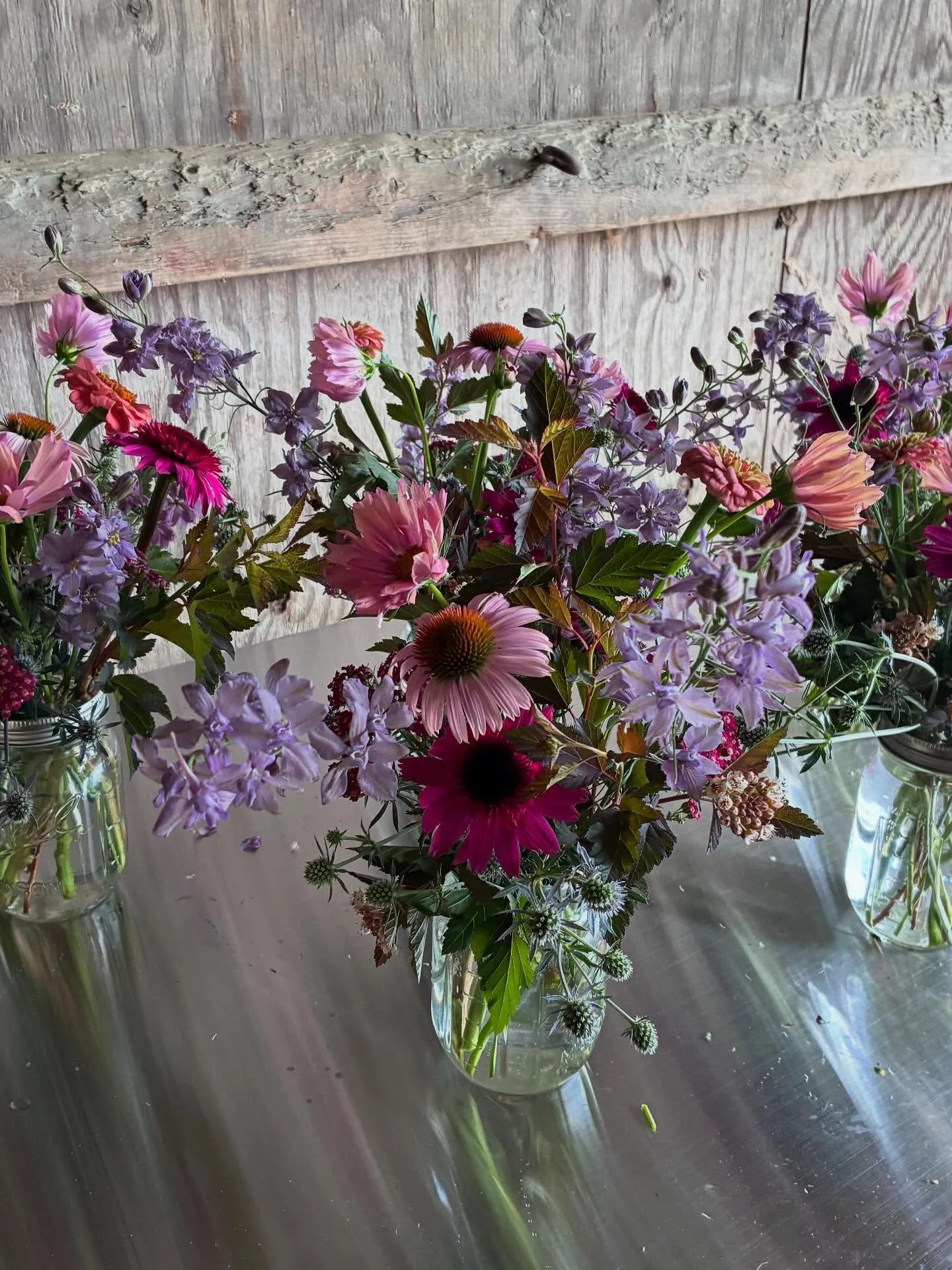 Just dropped off these cuties in the tasting room @oakencroftfarmwinery Stop by for a glass and garden in a jar 🍷💐