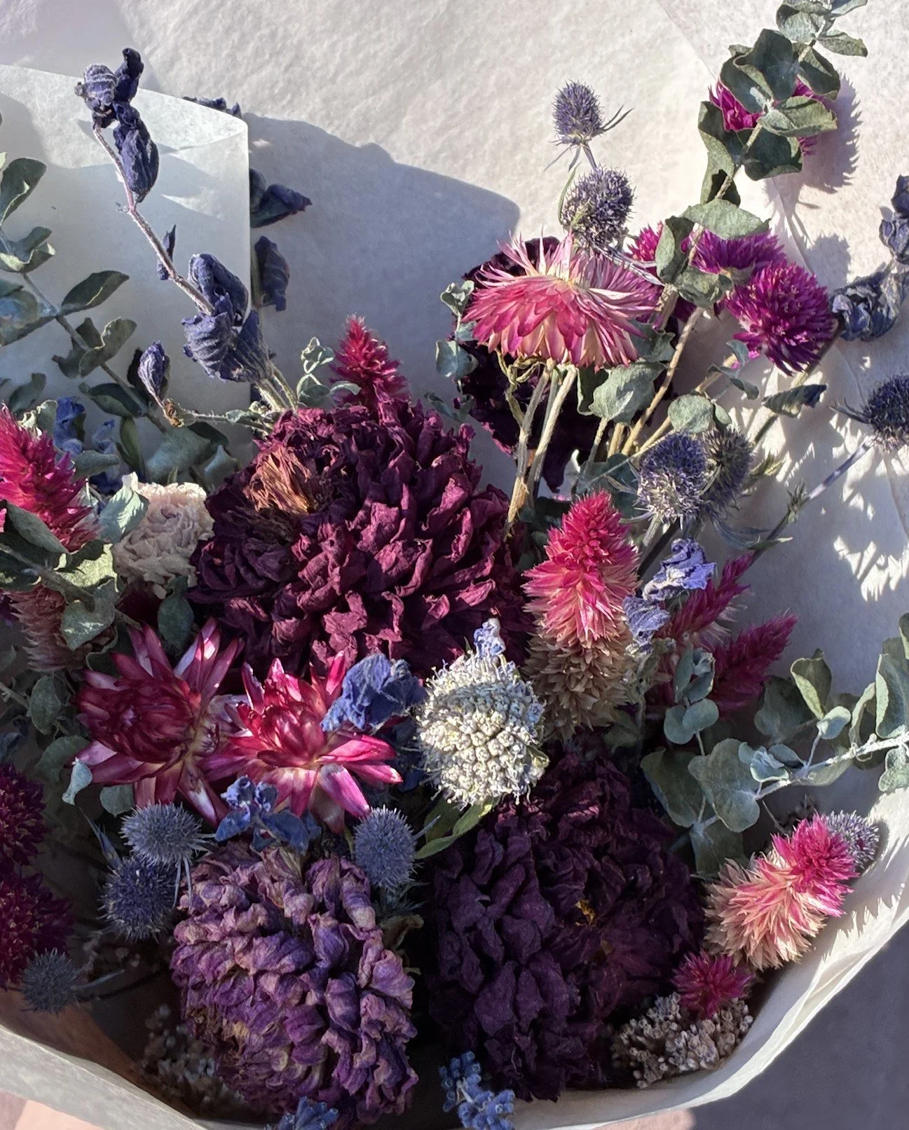 Medium Moody Closeup.JPG