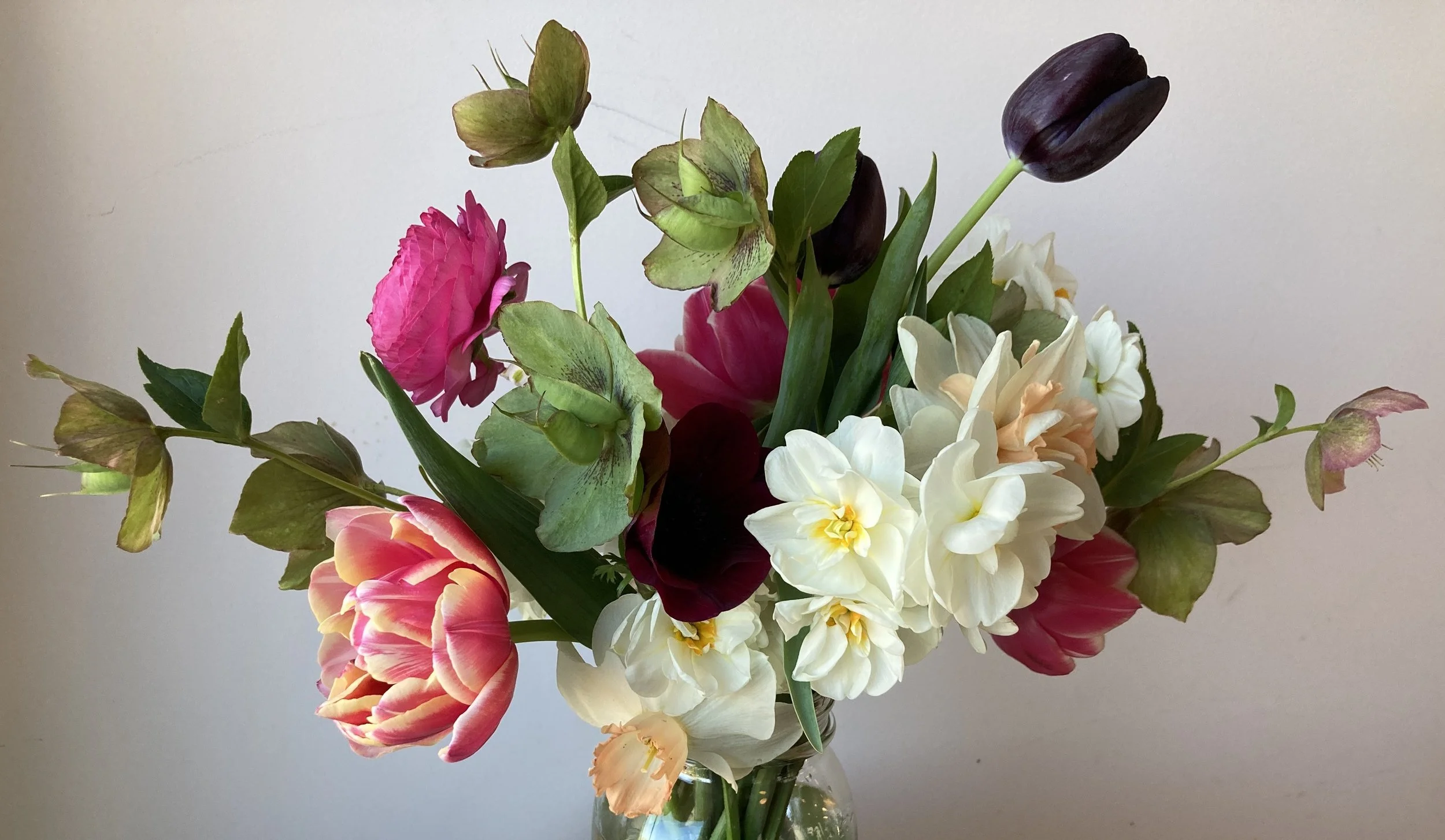 Spring flower bouquet with tulips, ranunculus, narcissus, and hellebore from our Early Spring Bouquet Share