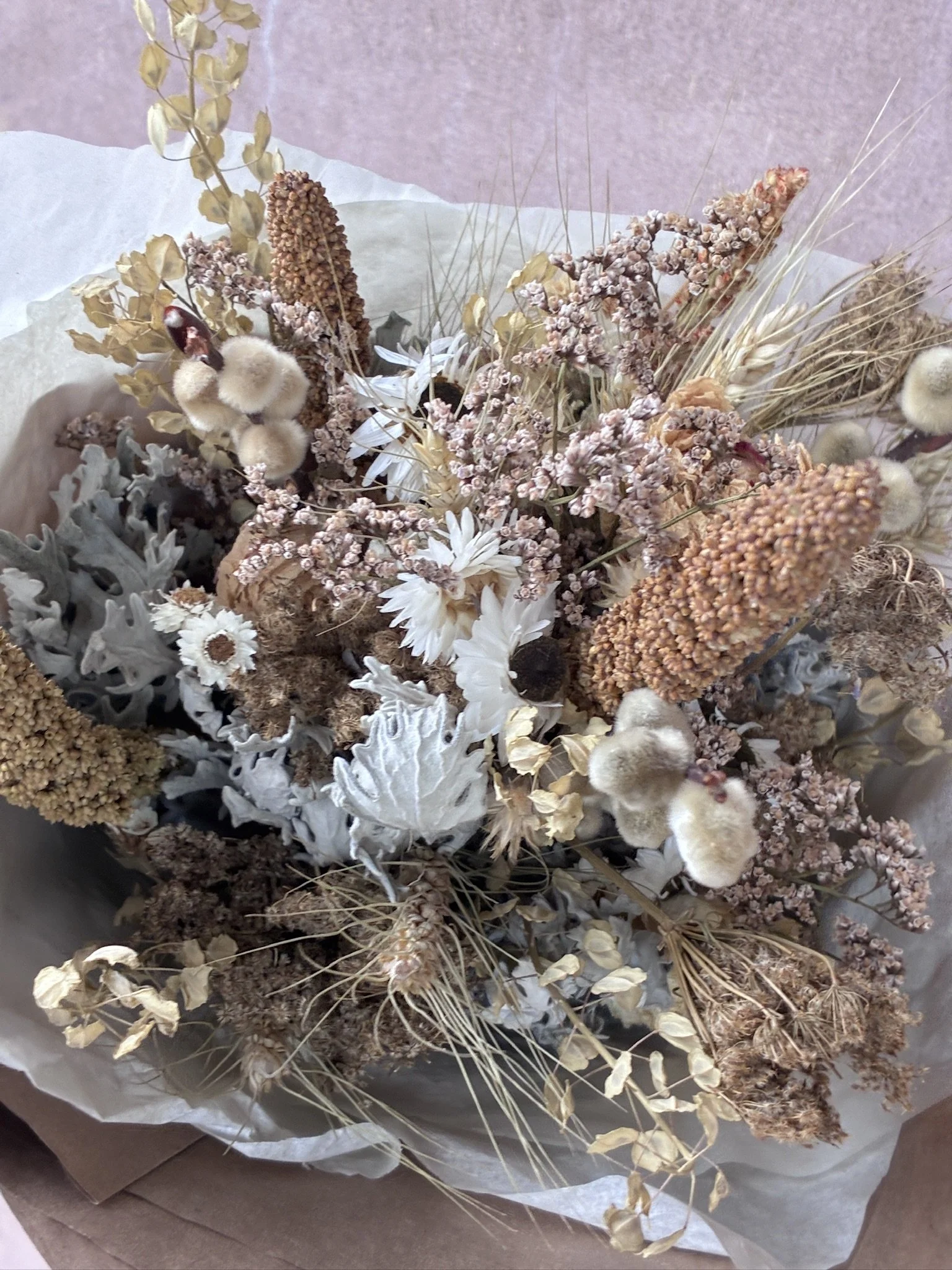 Large Neutrals Closeup.JPG