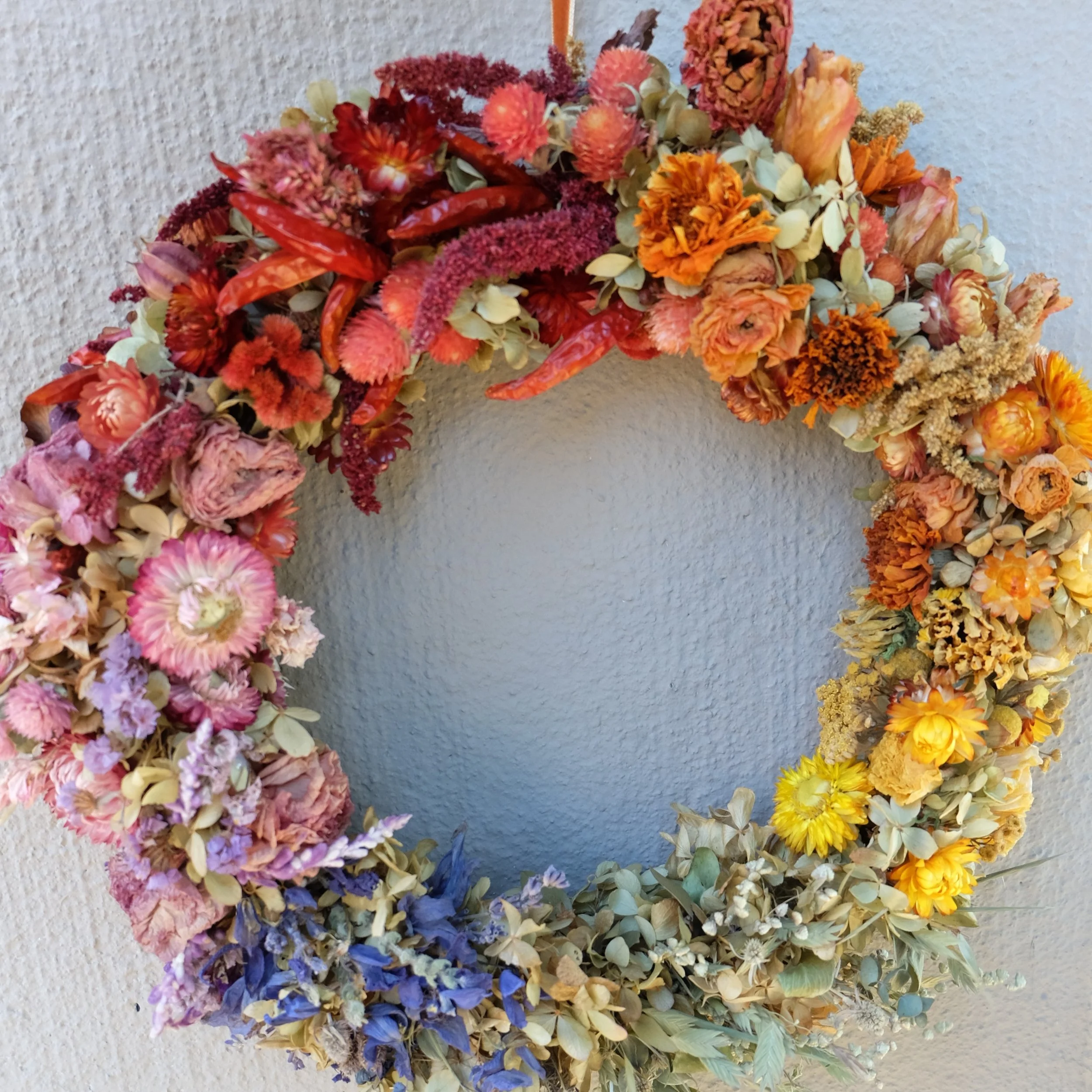 Rainbow ombre dried flower wreath
