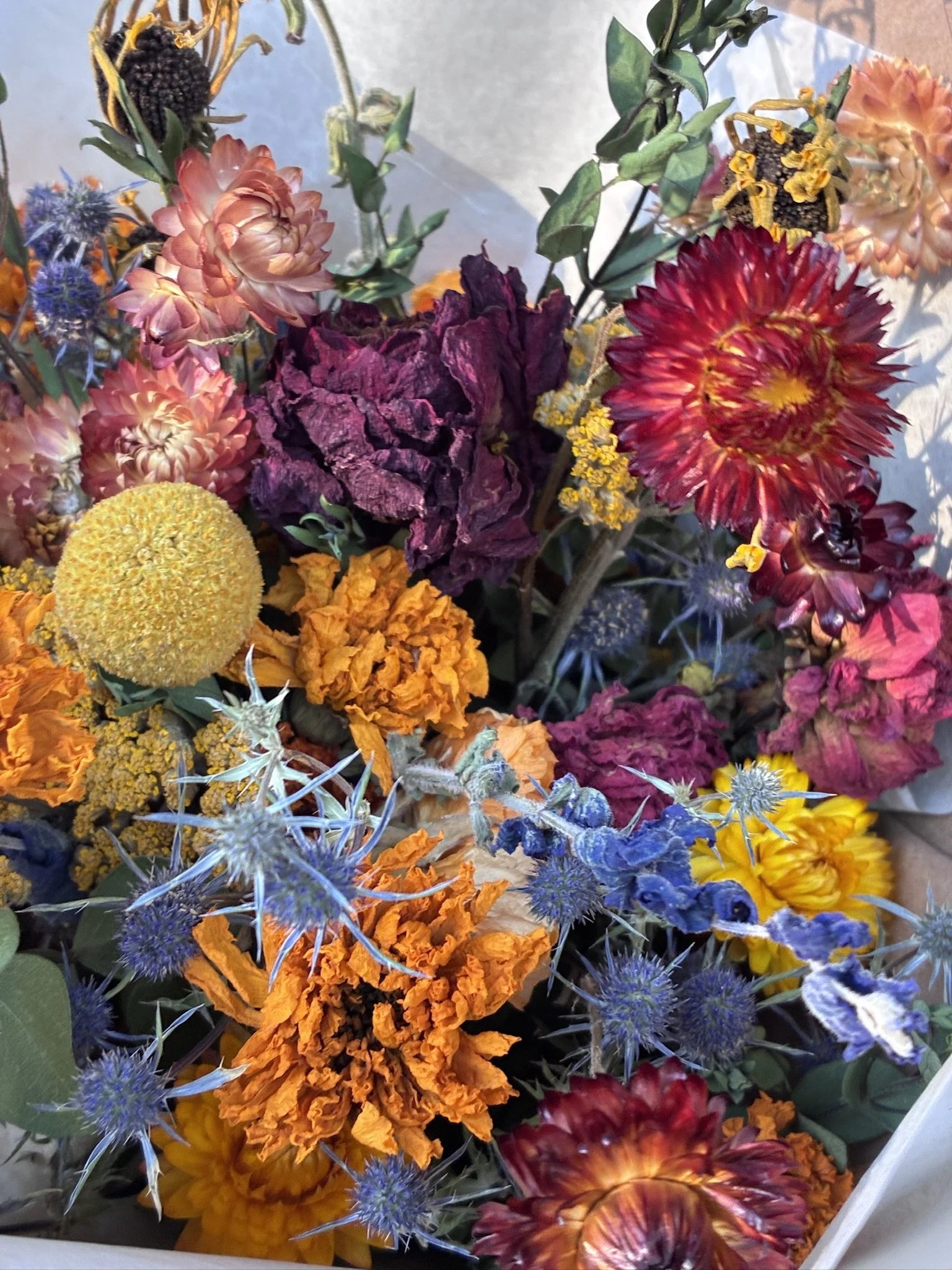 Large Colorful Closeup.JPG