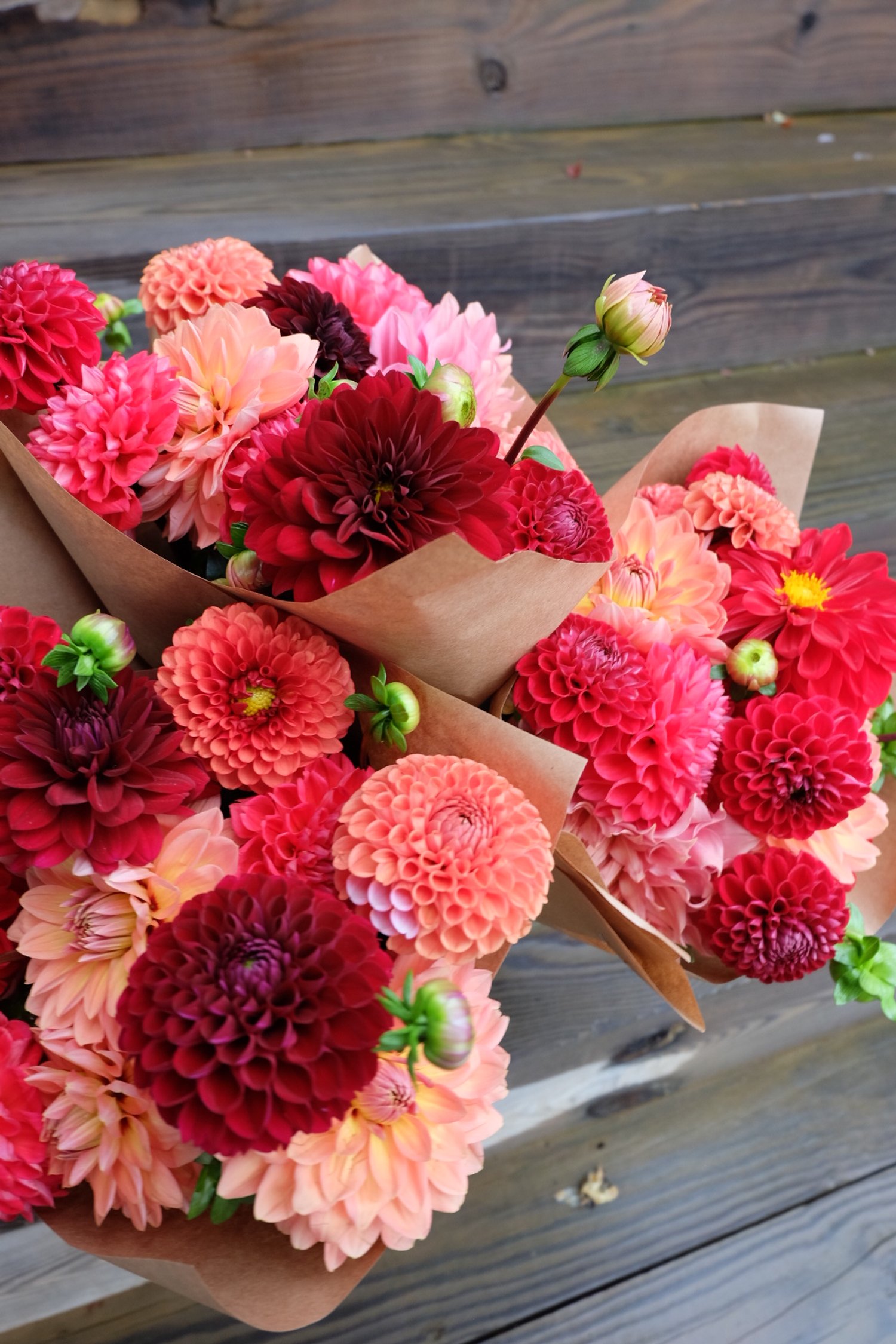2025 Dahlia Bouquet Subscription
