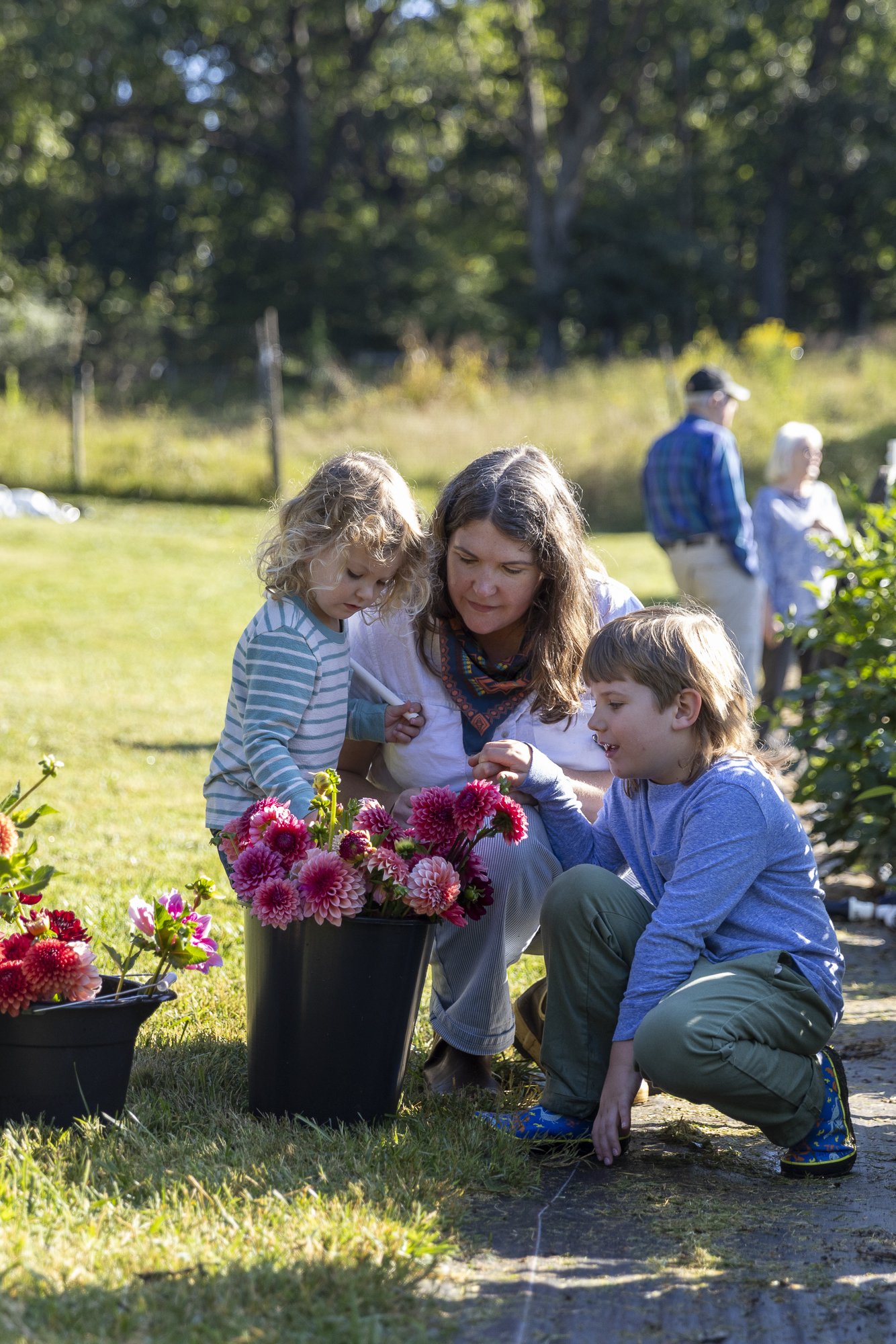 Kids helping with harvest- photo by Chime Studio