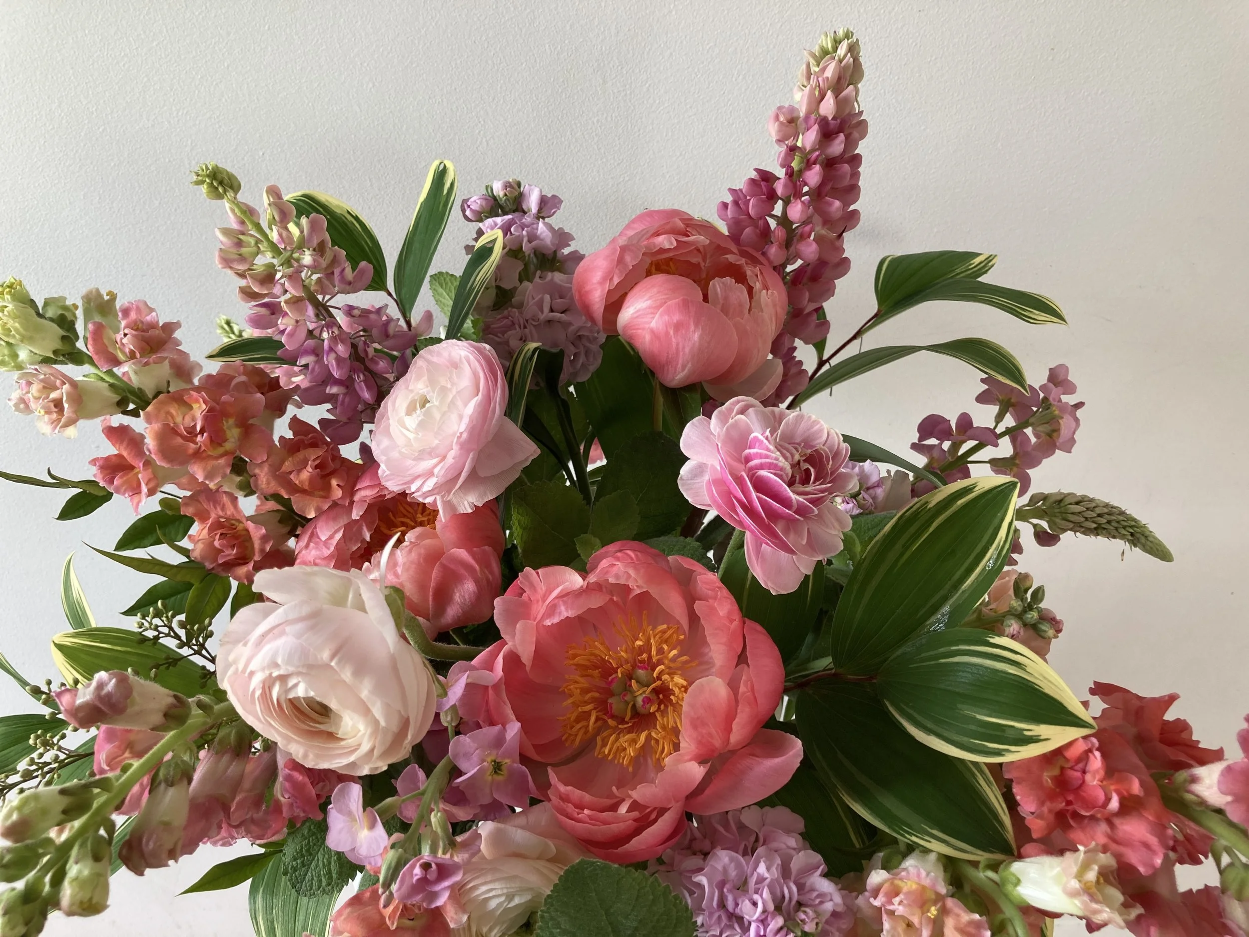Spring floral arrangement with local peonies, lupine, ranunculus, snapdragons, and solomon's seal
