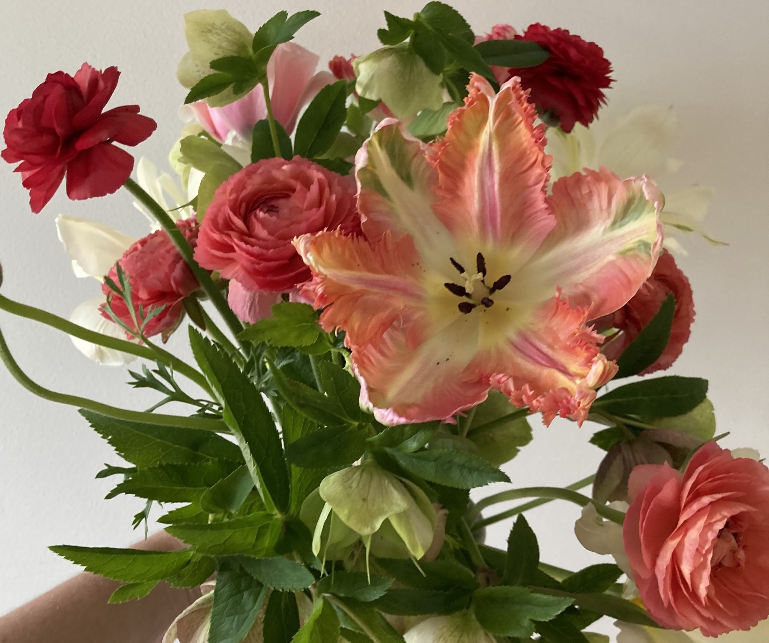 Early+spring+bouquet.jpg