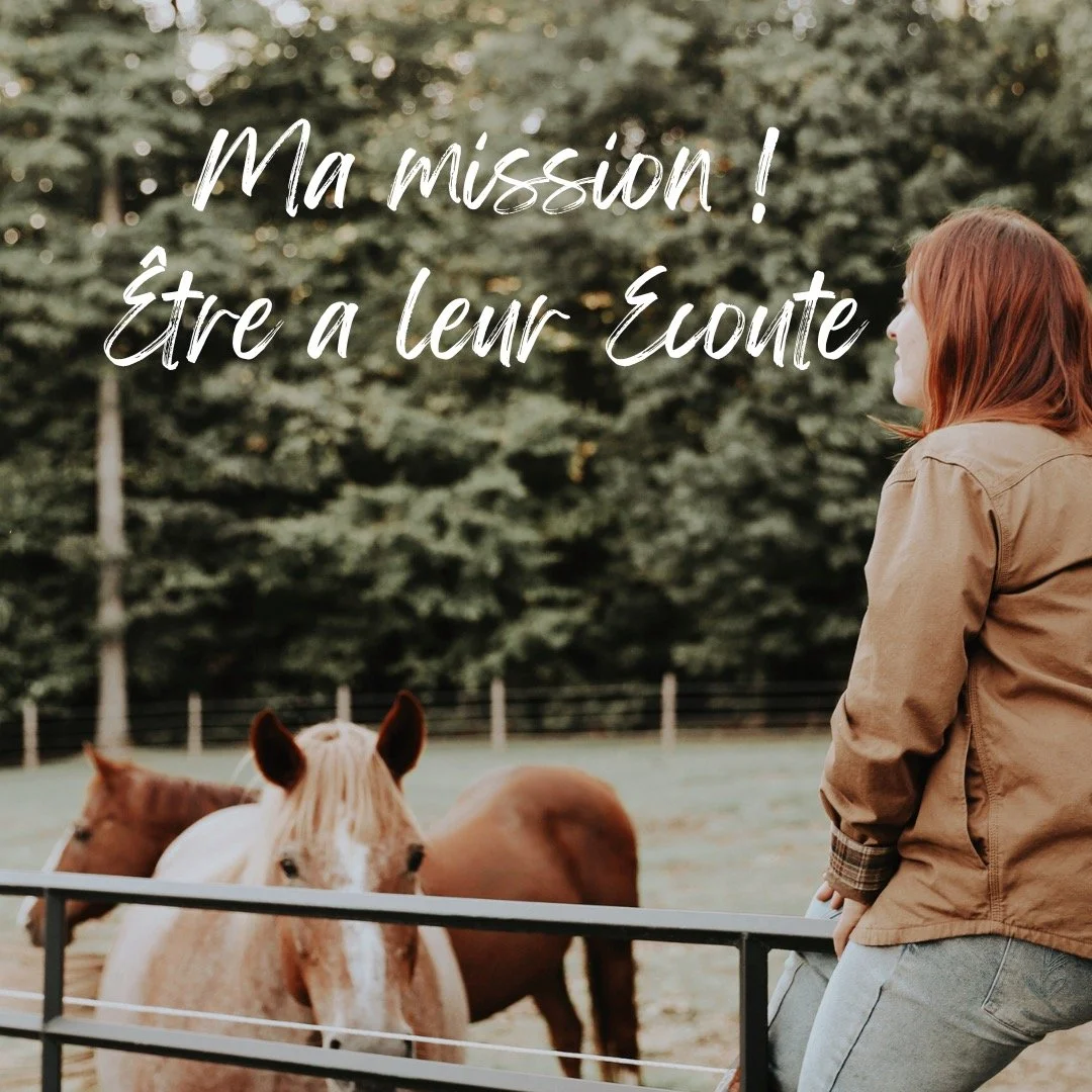 🌿 Ma mission avec Paisible Maison 🐾
Offrir la paix d&rsquo;esprit aux humains, et la tendresse d&rsquo;une pr&eacute;sence attentive aux animaux.
Garder une maison, c&rsquo;est bien plus que surveiller un lieu : c&rsquo;est veiller sur un quotidien