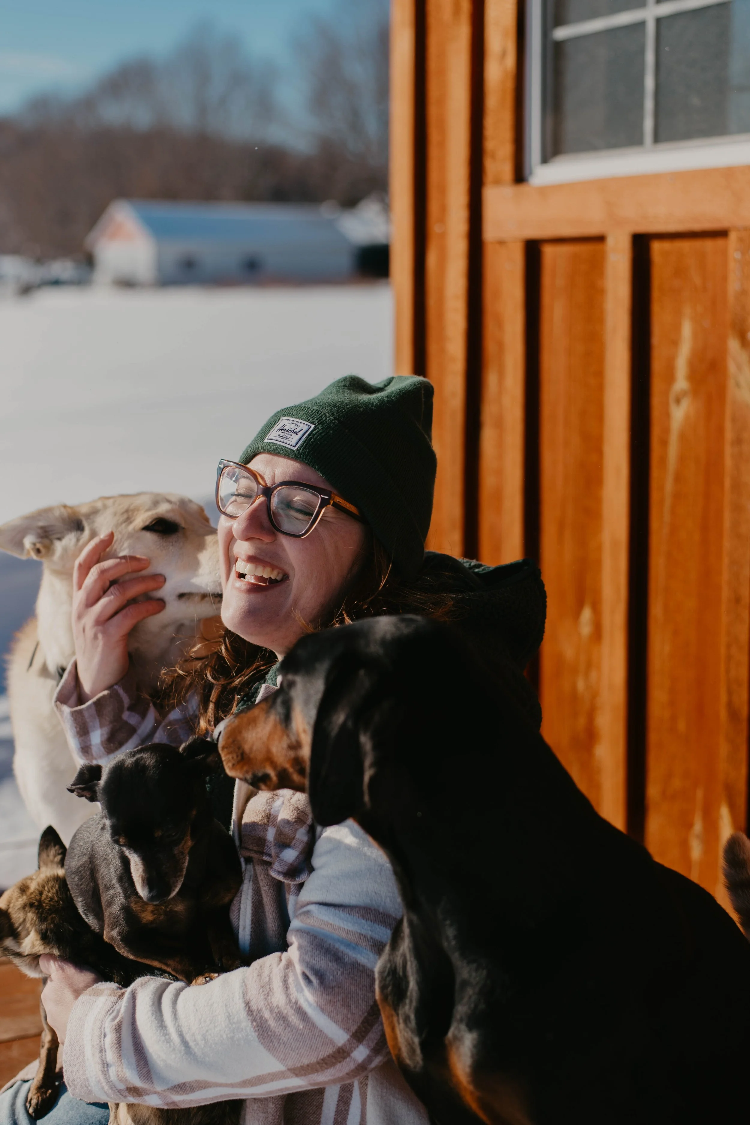 Services de garde pour animaux sur la Rive-Nord ou les Laurentides