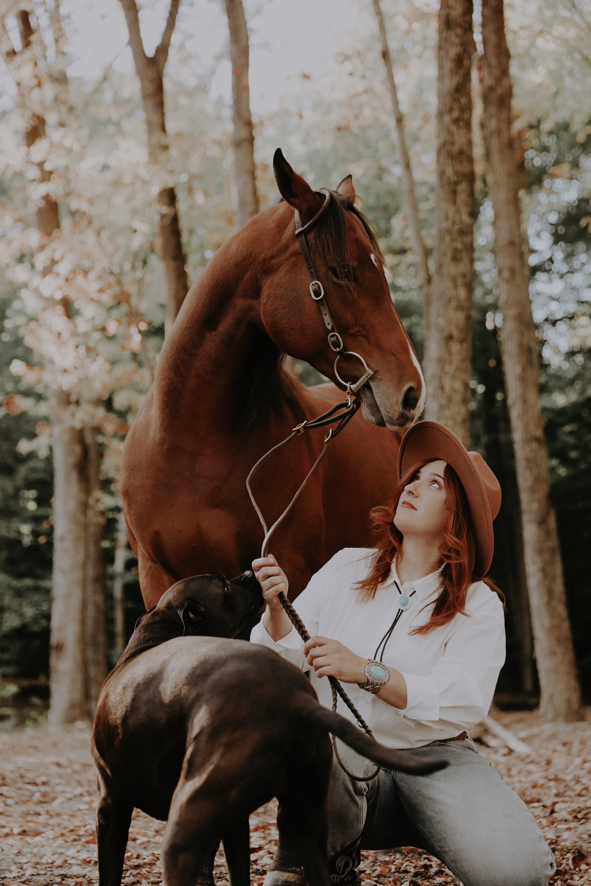 Gardiennage de chevaux et animaux de ferme à domicile – service sur mesure Rive-Nord
Soins pour chevaux en propriété privée – présence fiable et expérimentée
Gardiennage de mini-ferme et ranch – animaux multiples et routines respectées