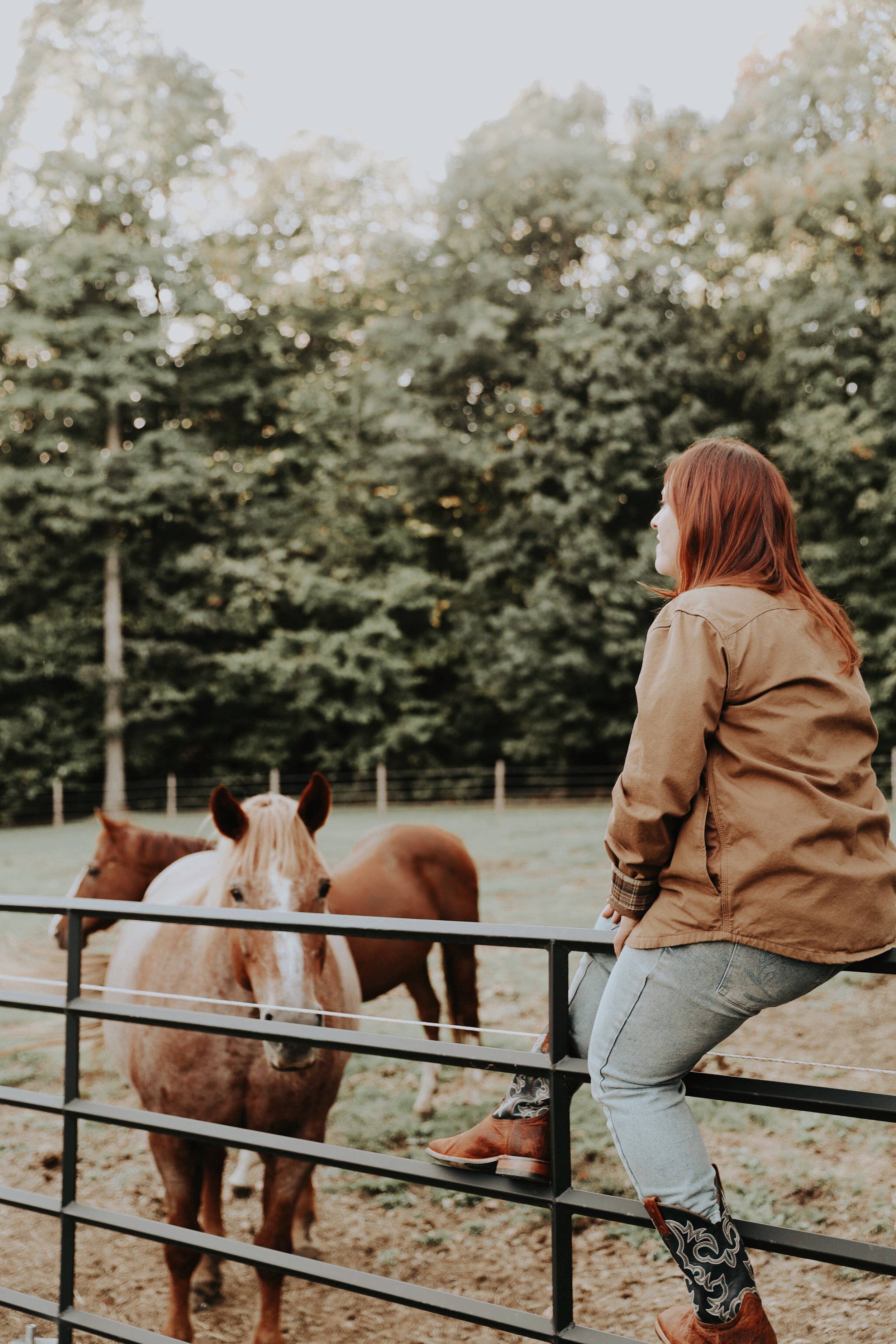 Gardiennage d’animaux à domicile Rive-Nord – soin chevaux et mini-ferme