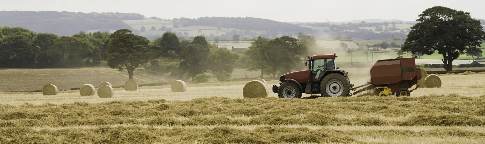 orchard mower
