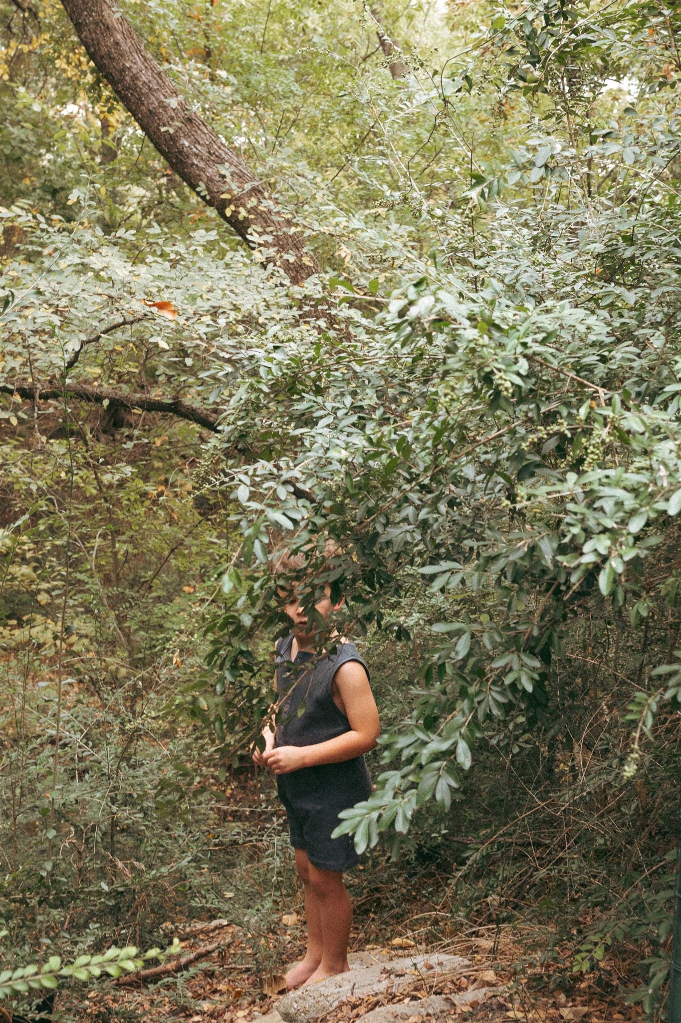  A little boy covered by a tree during a family photography session 