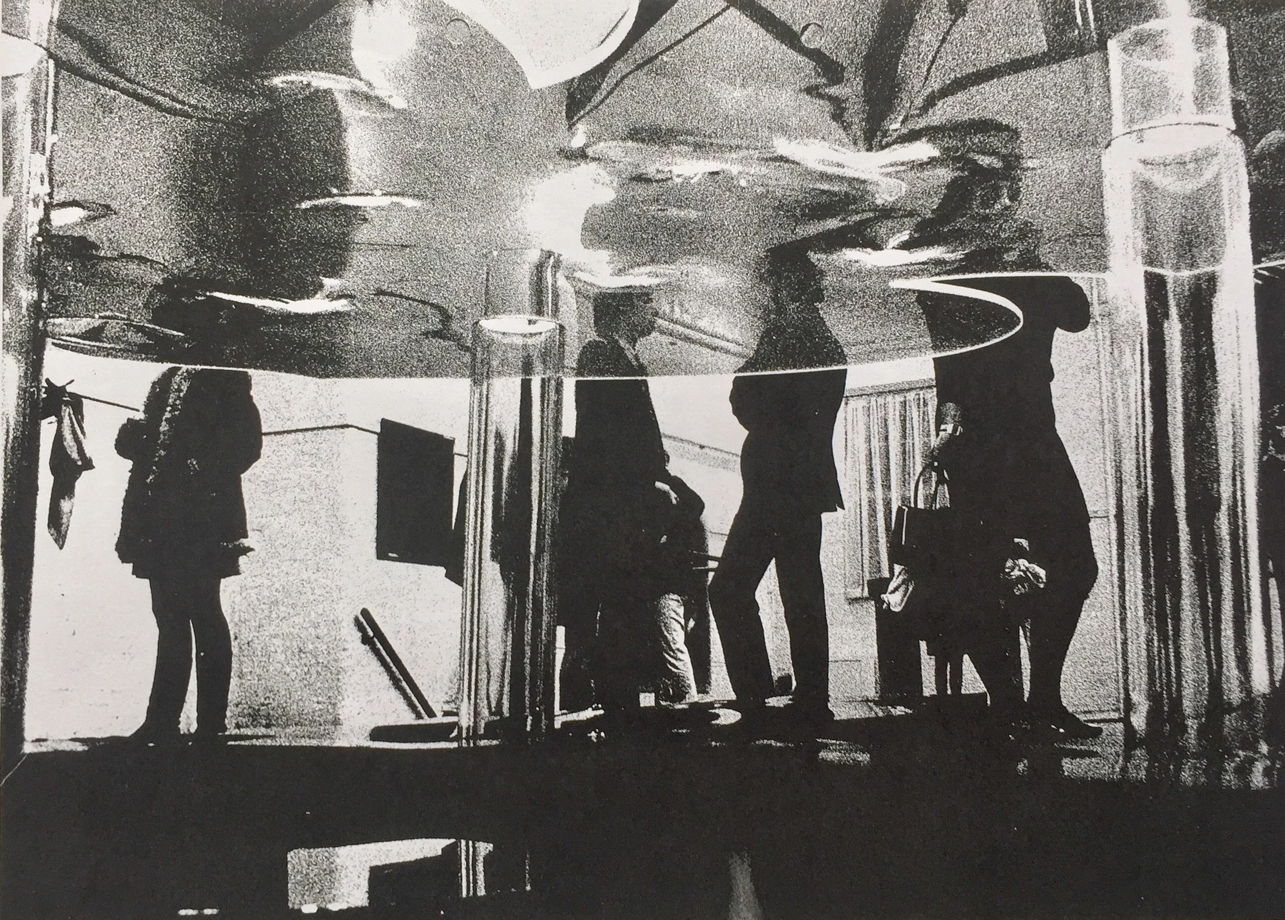 Carnaby II. Photo: Anthony McCAll