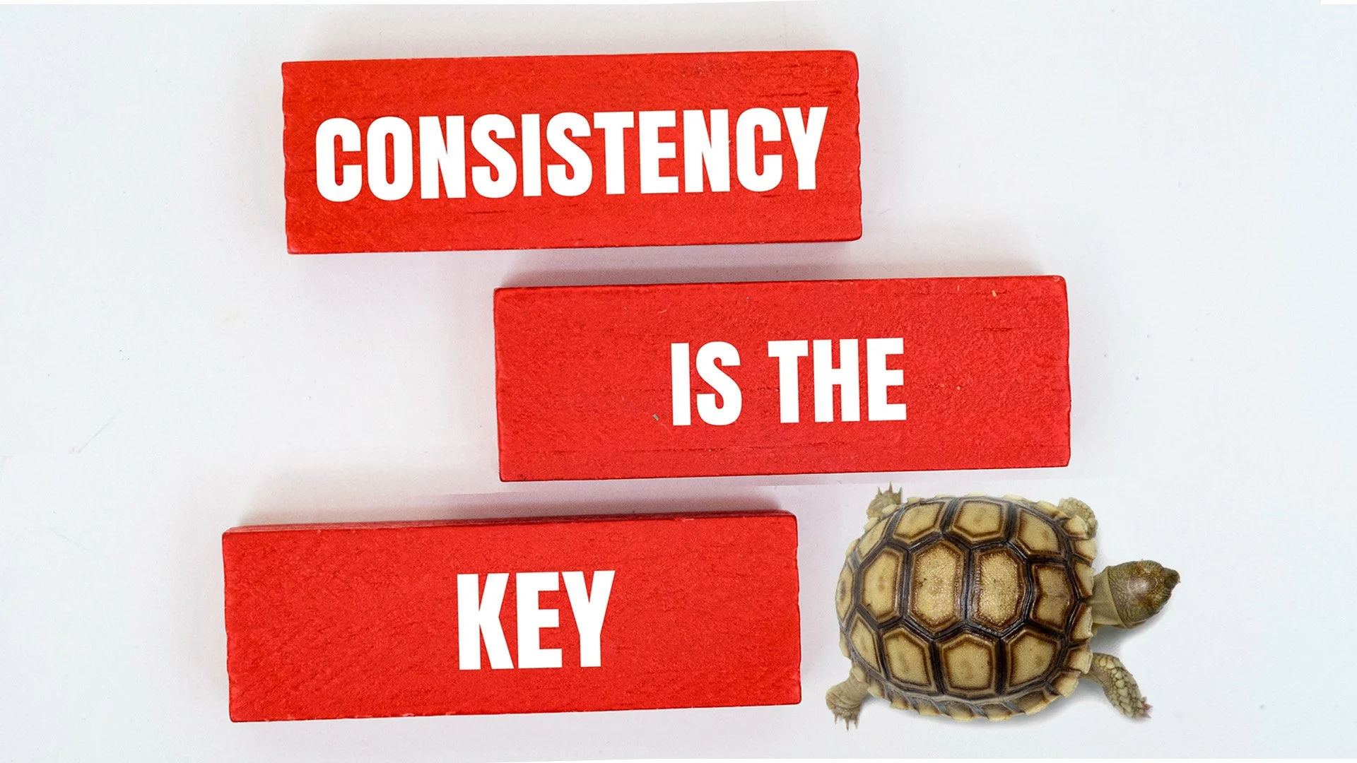 The Quiet Advantage of Consistency