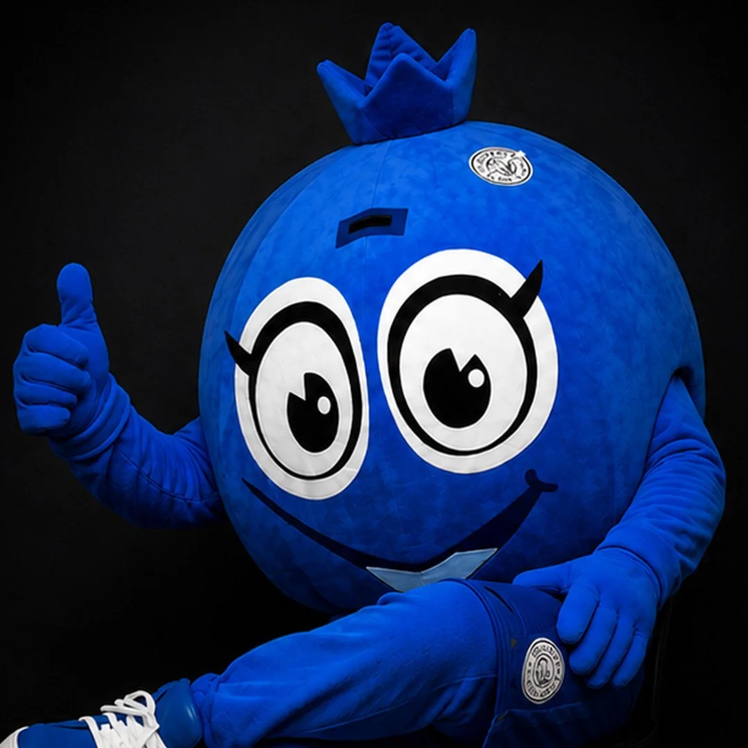 Mighty Blue Mascot