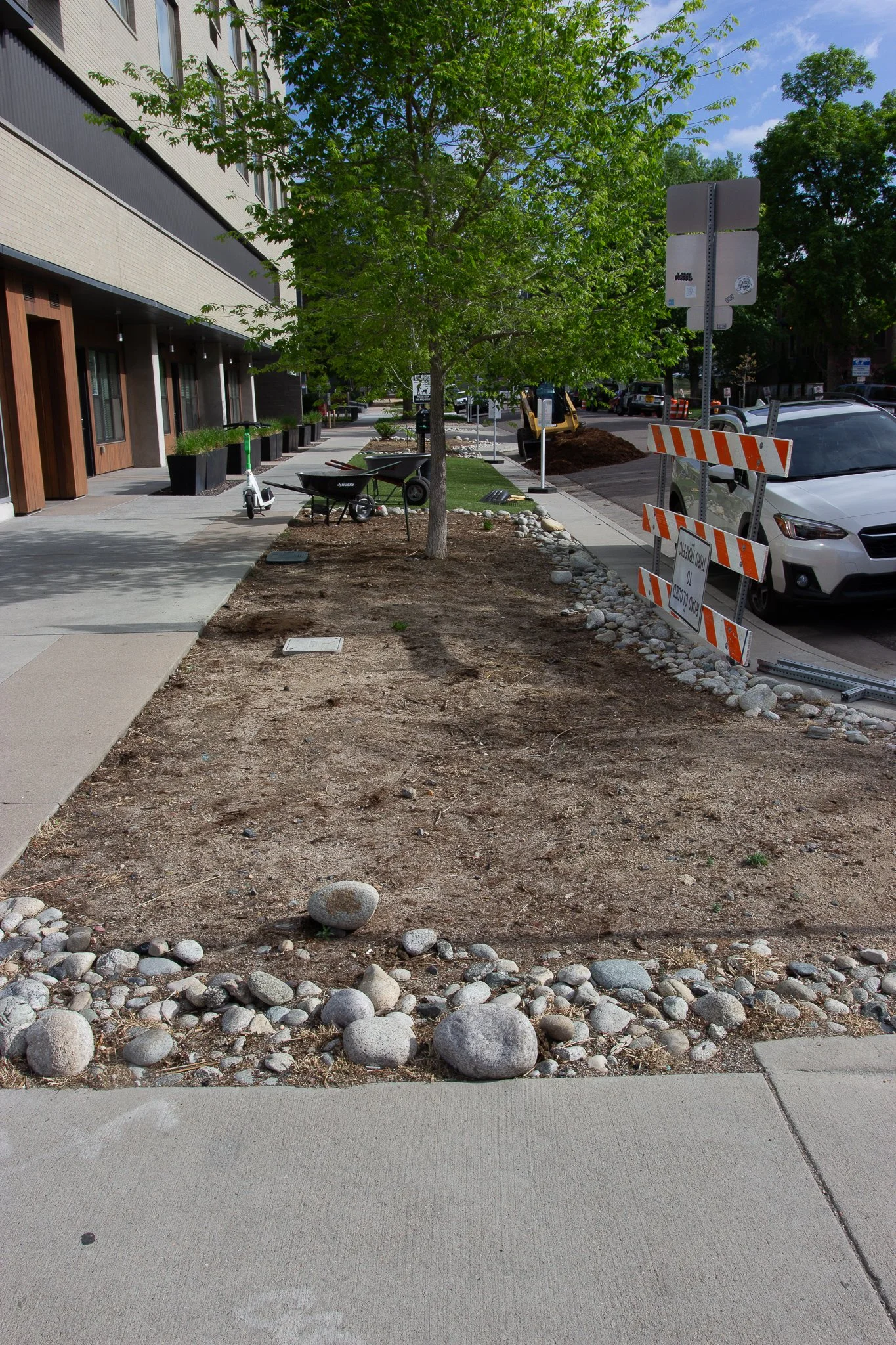 A sidewalk and a small dirt planting area with a tree, wheelbarrows, and construction barriers on a city street.