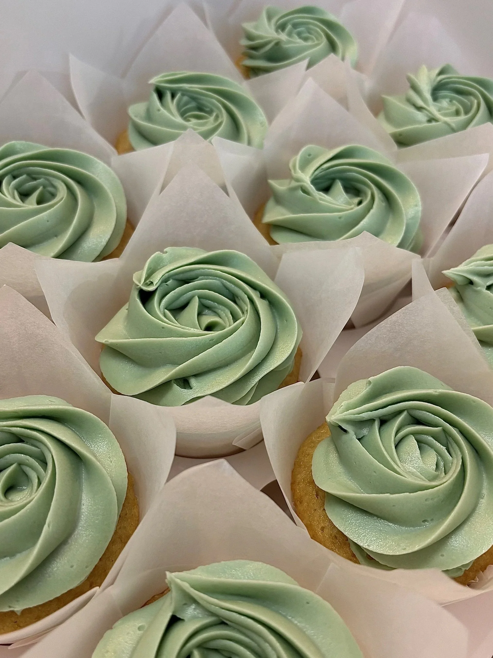 cupcakes.jpg