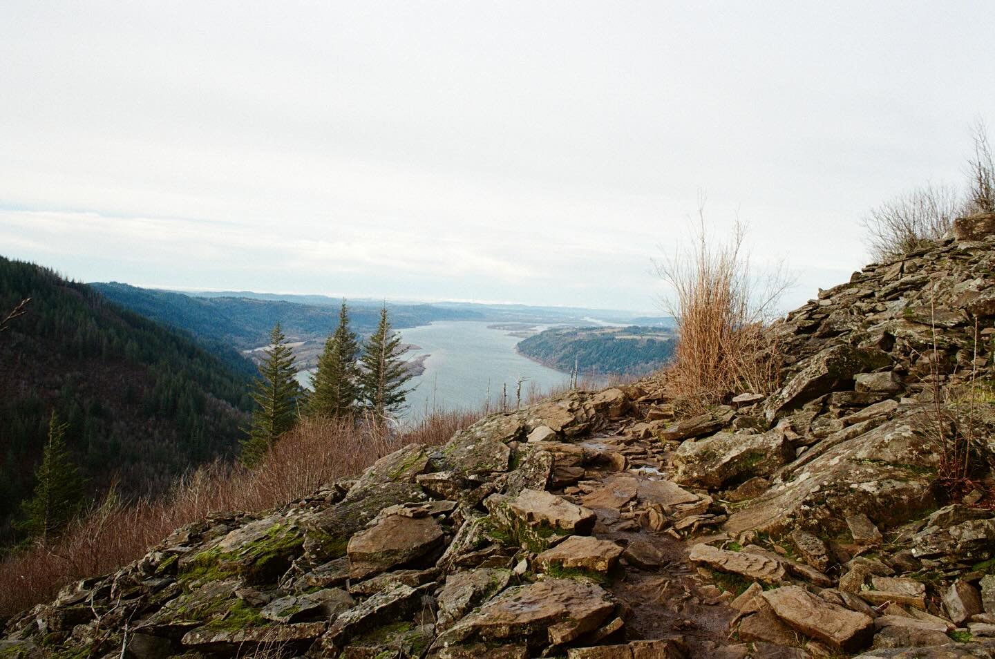 a new year&rsquo;s eve solo hike
4.5 miles out n back :)

#35mmfilm #kodakfilm #ultramax400