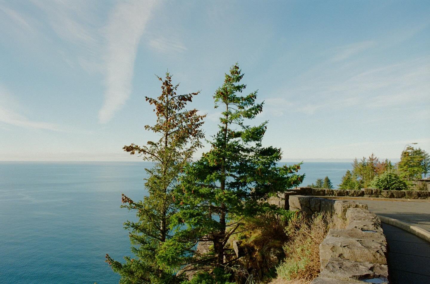 stop and smell the pine trees