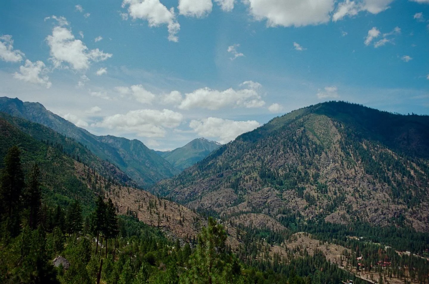 to the right and then a little more

#ektar100 #minoltasrt101 #35mm