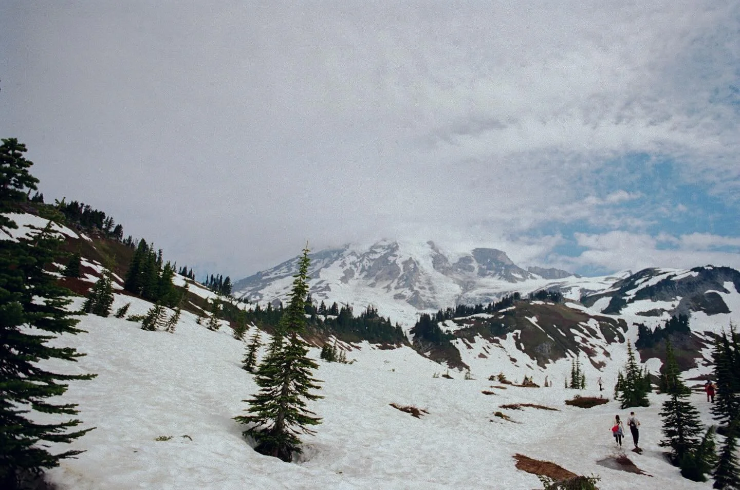 wandering around paradise