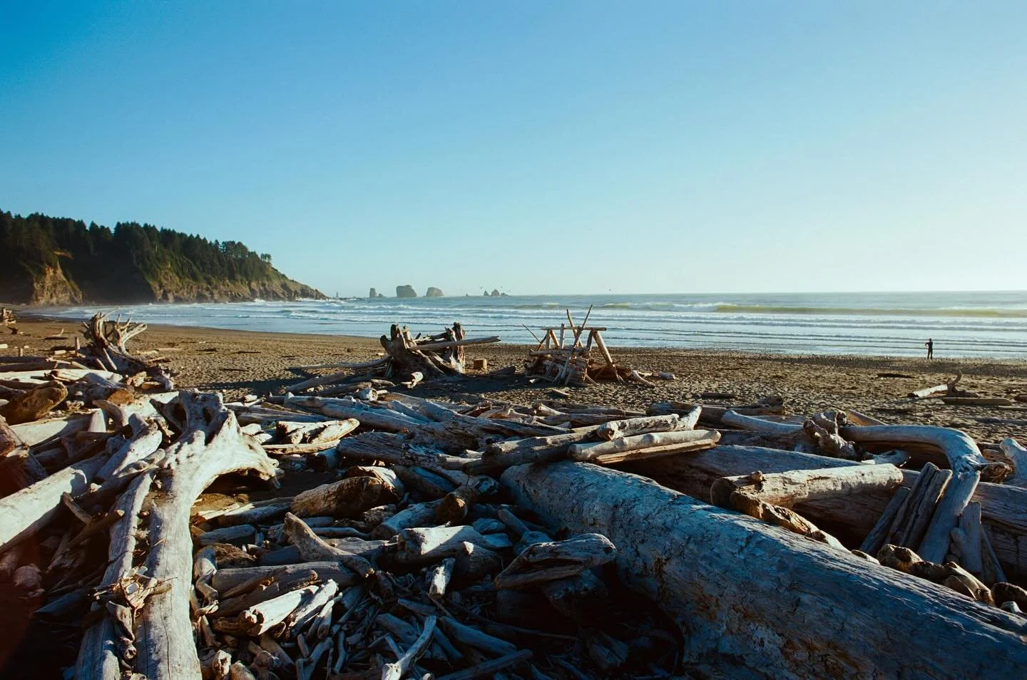 i always find myself back at the beach 

#35mm #ektar100