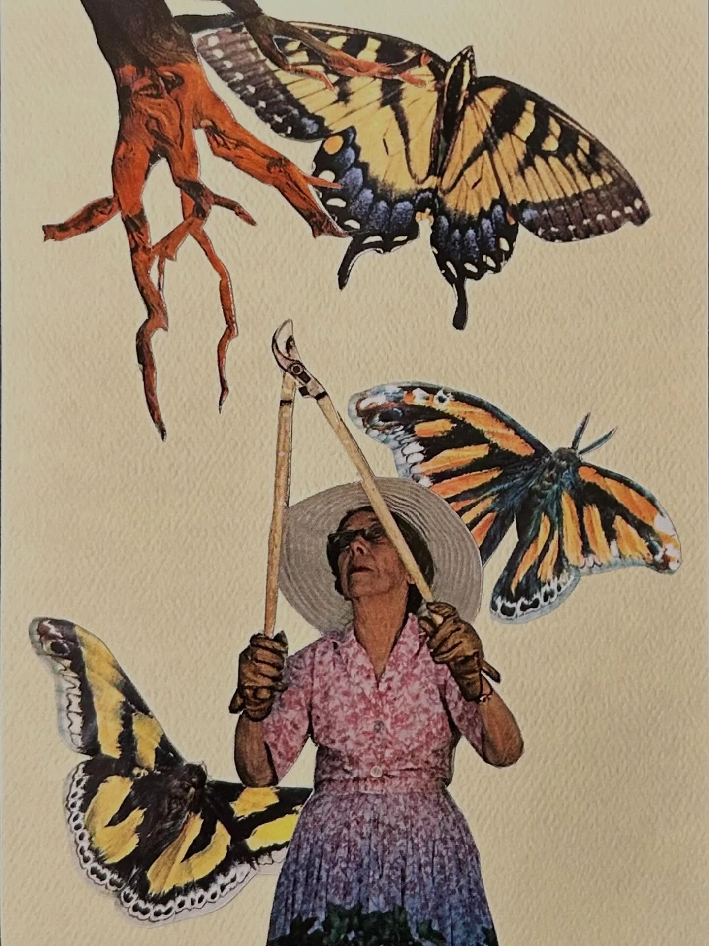 grandma&rsquo;s garden