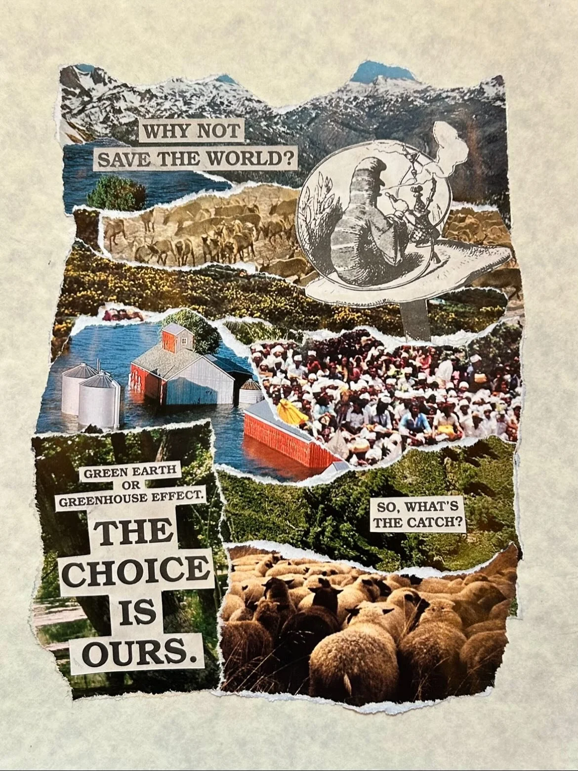 why not save the world?