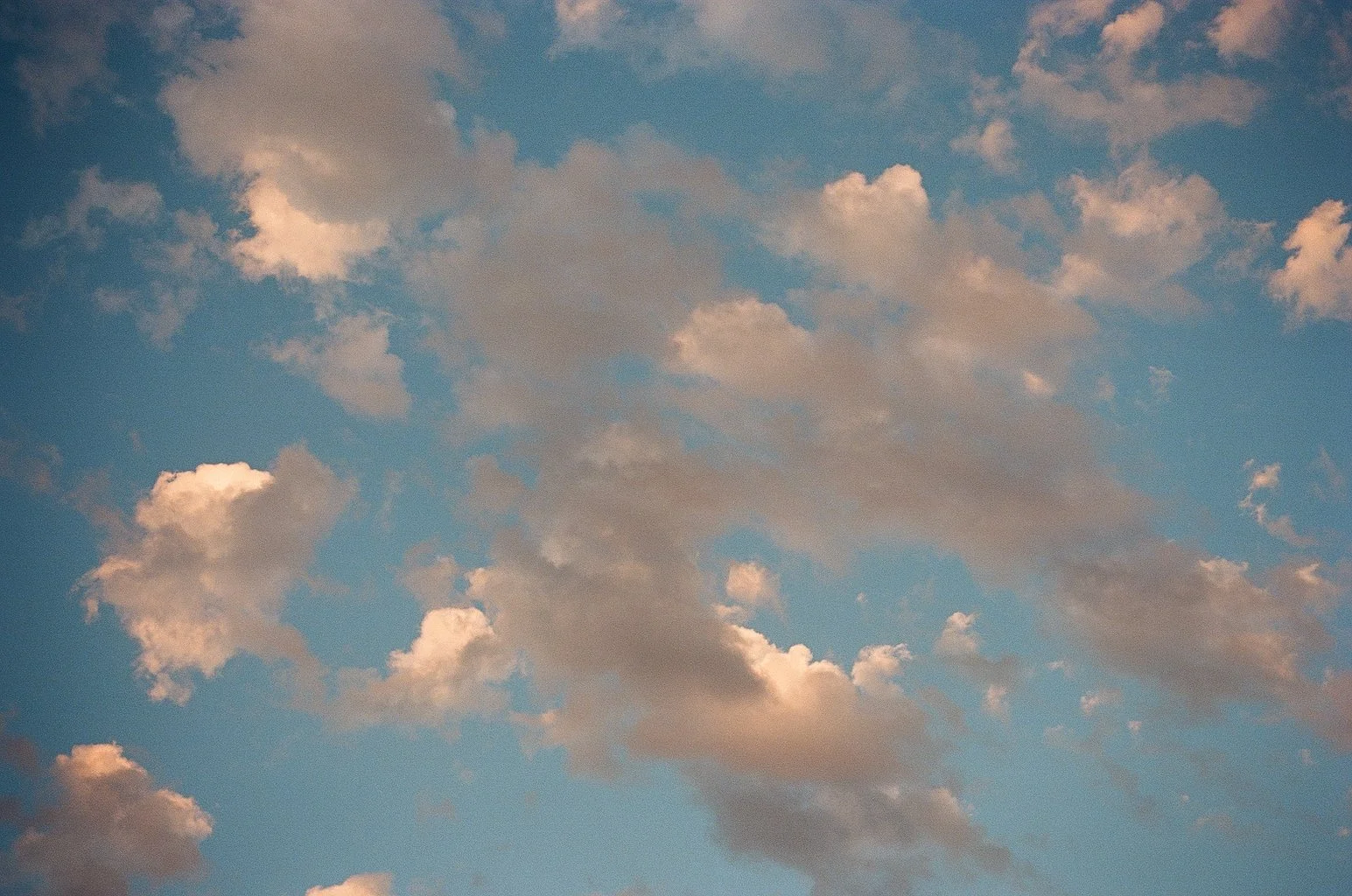 San Diego, California [2022]