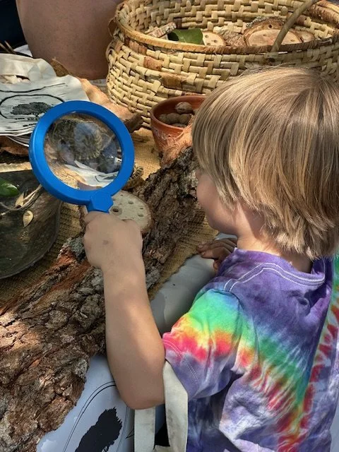 Plantasia 2026 was a Smashing Success