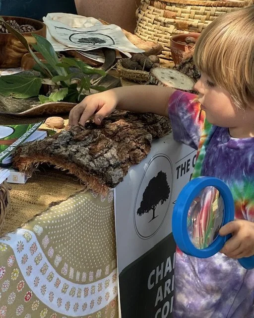 The Charleston Arborist - Kids Activities.jpeg